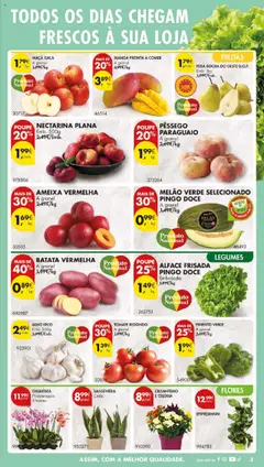 ALFACE FRISADA PINGO DOCE, Poupe 25% Embalada │ válido de 16.09.2025 | Página: 5 | Produtos: Pó, Maça, Tomate, Alface