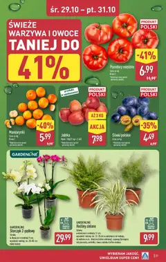 Pogląd oferty "Aldi Gazetka" - ważna od 27.10.2025 | Strona: 31 | Produkty: Śliwki, Jabłka, Pomidory, Owoce