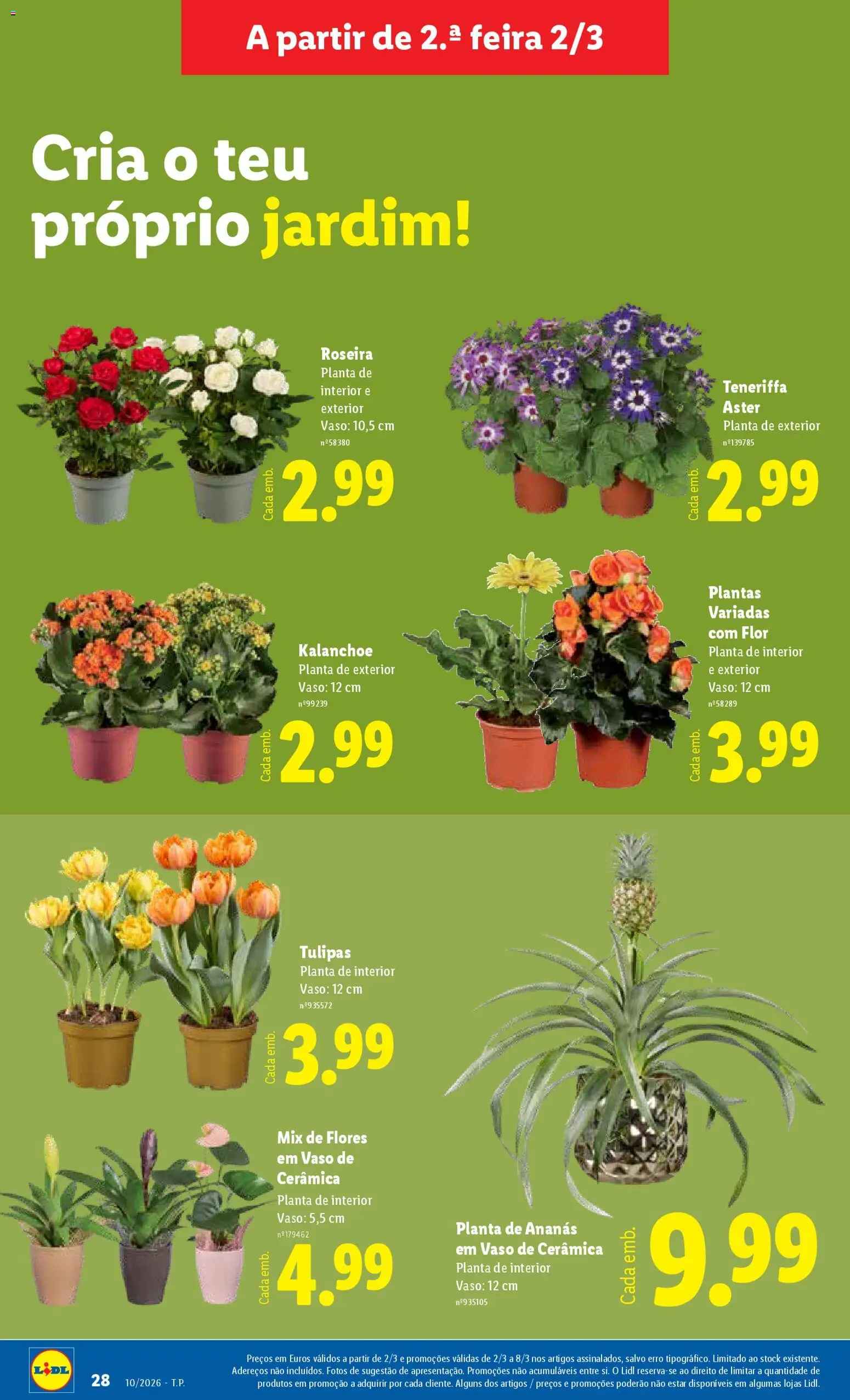 Lidl folheto │ válido de 02.03.2026 | Página: 28 | Produtos: Flores, Vaso