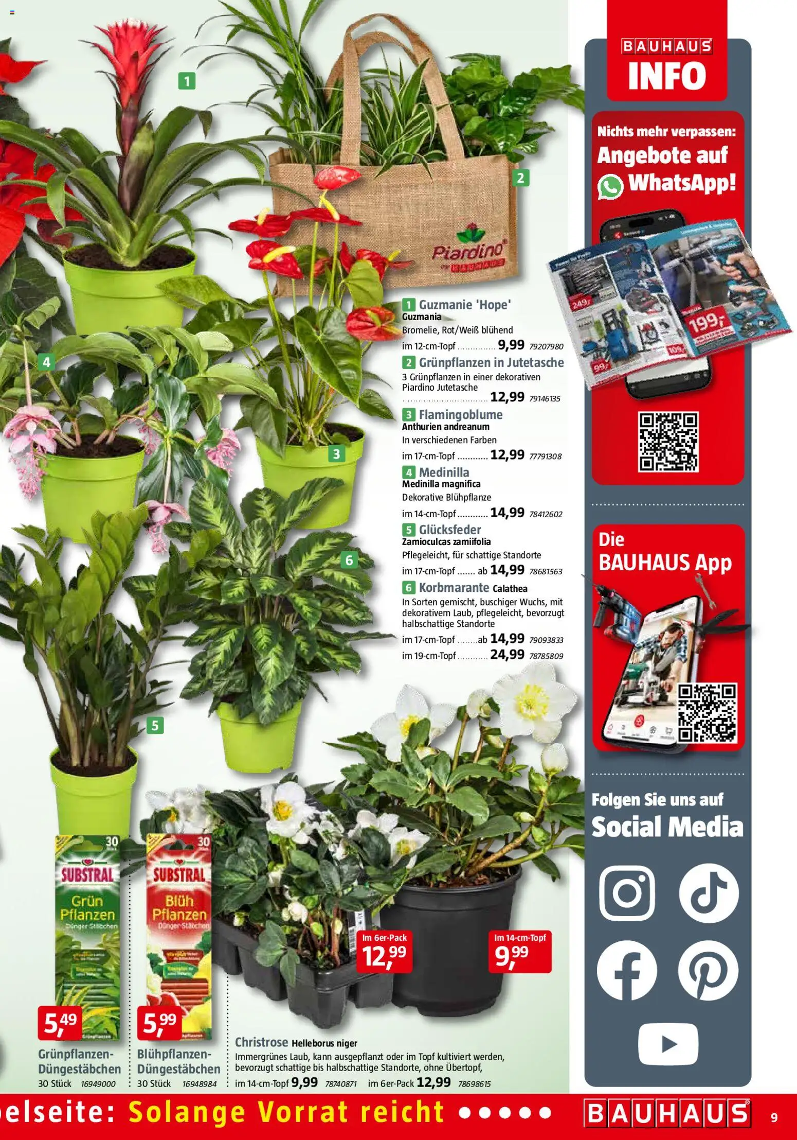 Bauhaus Prospekt 	 – gültig ab 01.11.2025 | Seite: 9