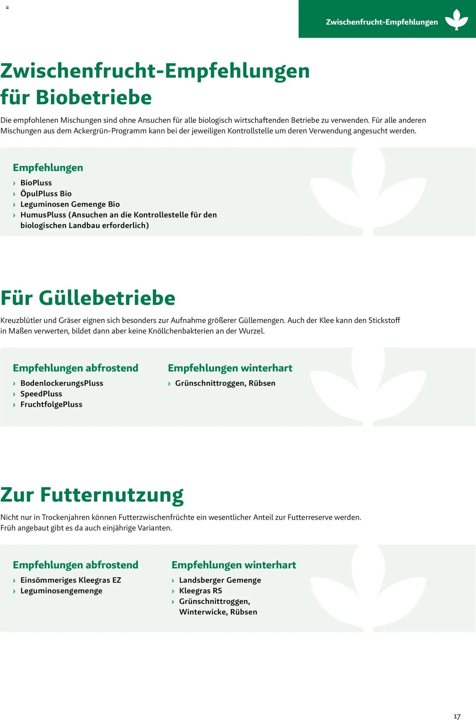 Lagerhaus Zwischenfrüchte und Begrünungen 2026 gültig ab 26.03.2026 | Seite: 17