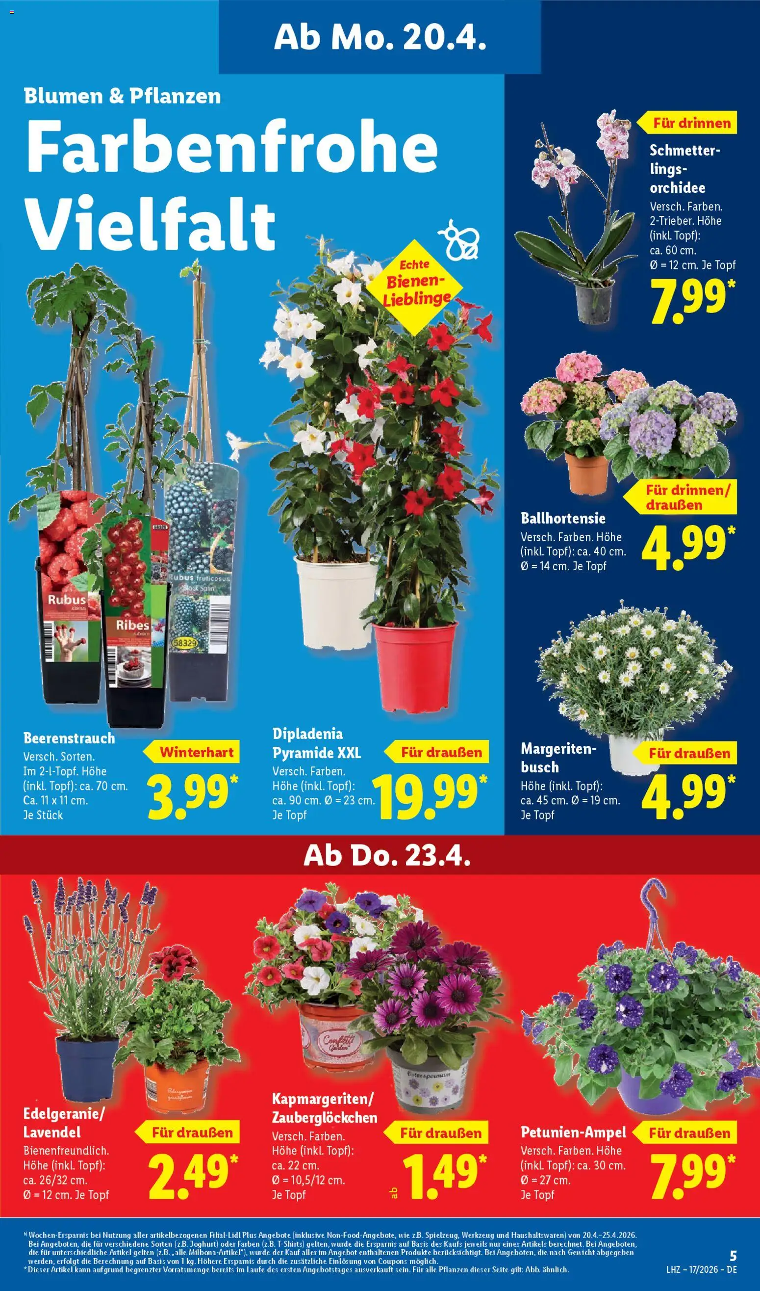 Lidl Německo leták od 20.04.2026 | Strana: 11