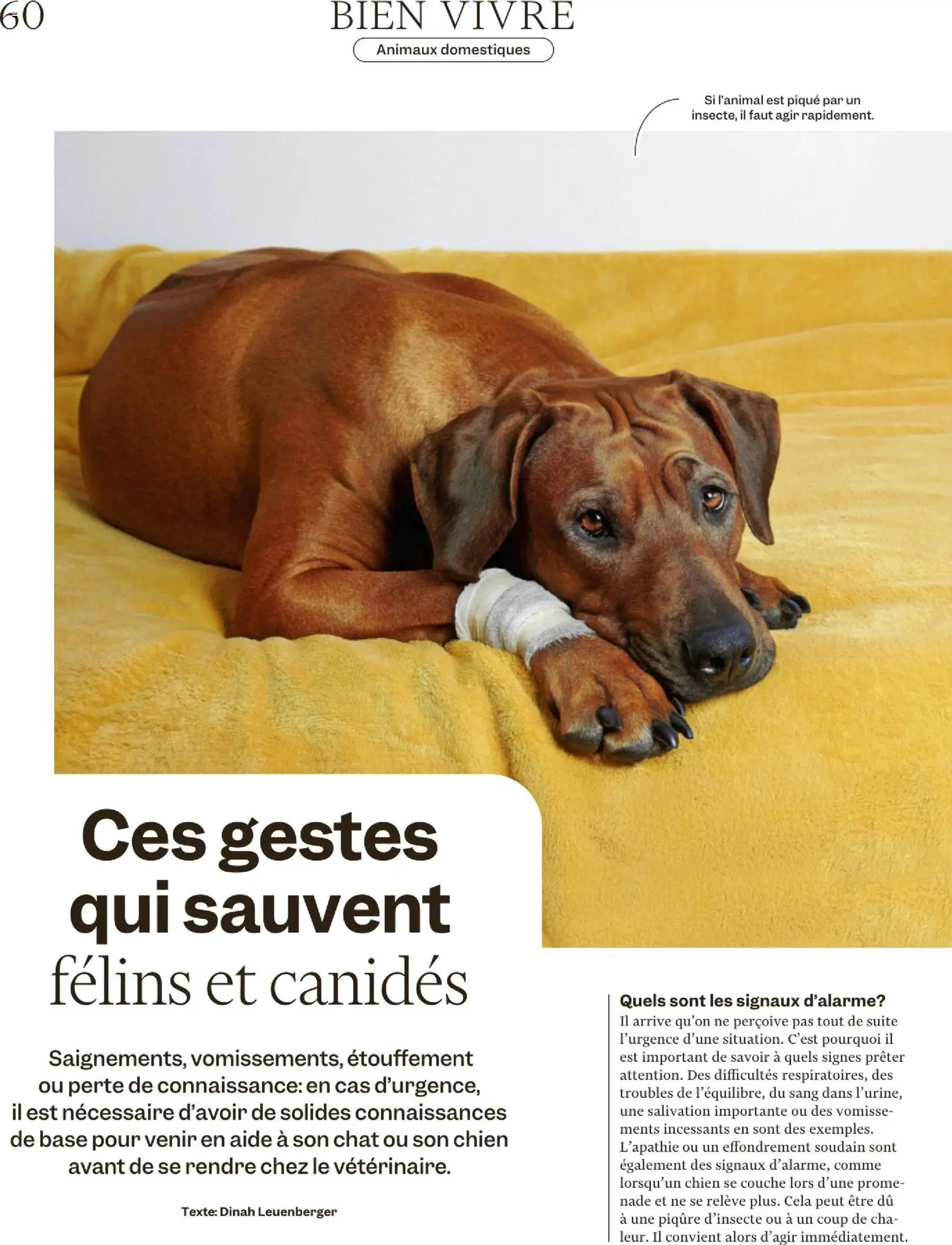 Migros Magazin FR – gültig ab 17.11.2025 | Seite: 59