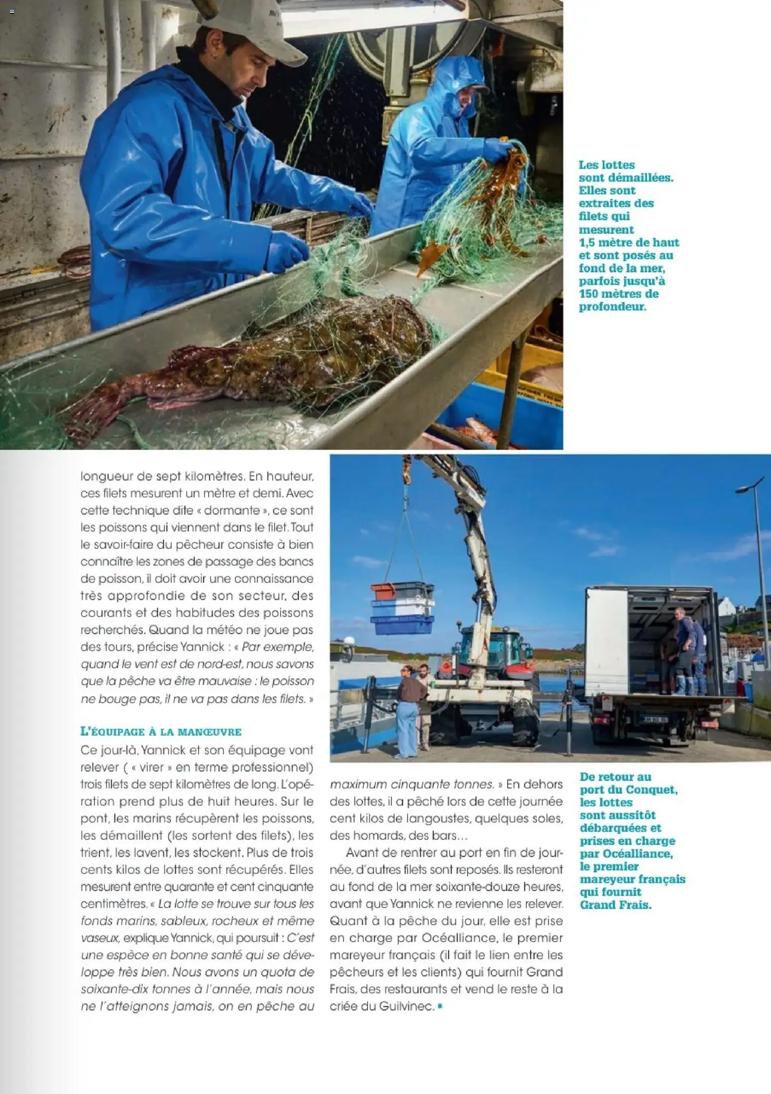 {H1} | Page: 23 | Produits: Mètre, Mais, Prises, Poisson