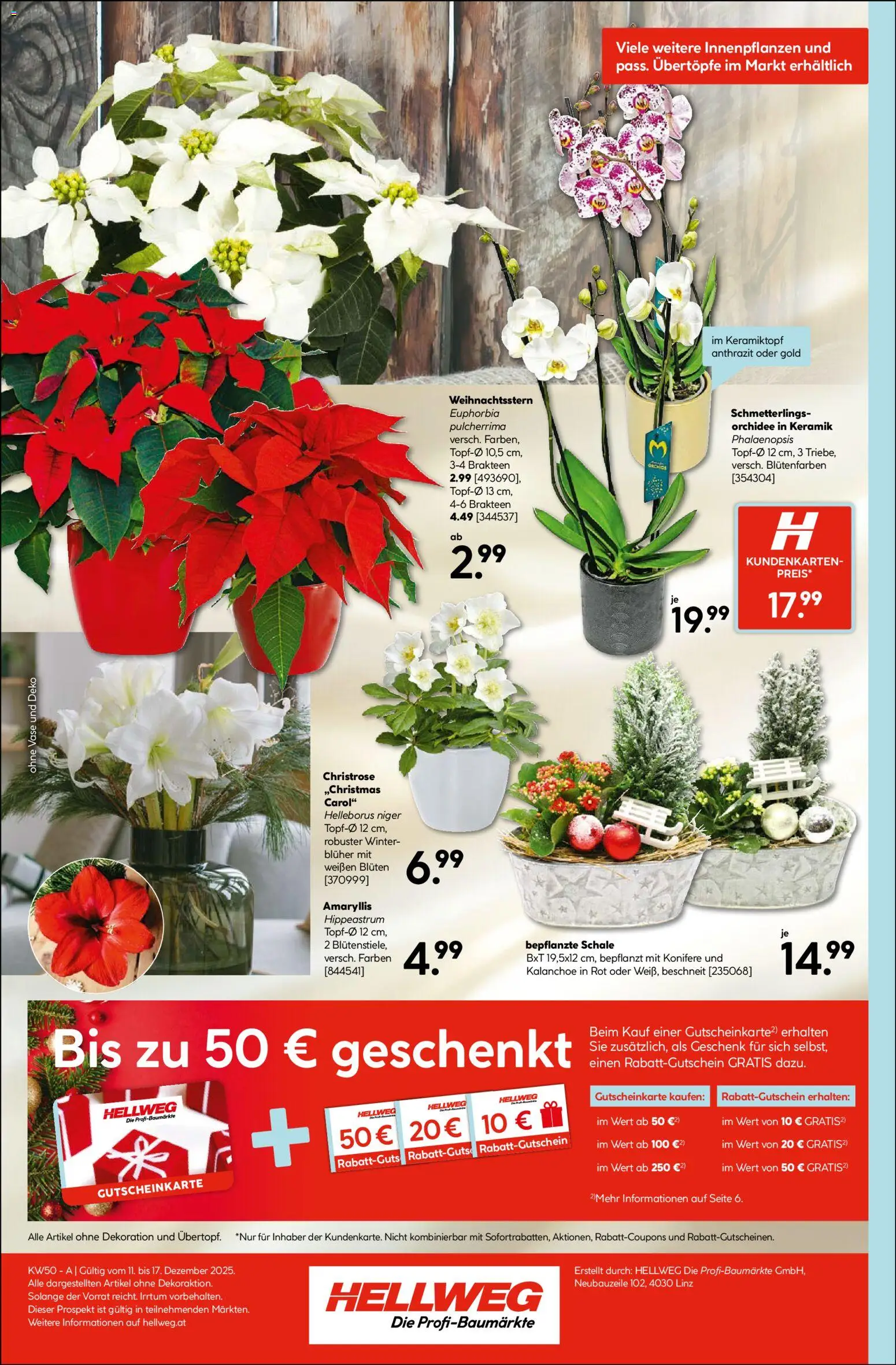 HELLWEG Flugblatt gültig ab 11.12.2025 | Seite: 8 | Produkte: Vase