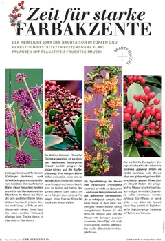 Dehner  Flugblatt ab 10.10.2025 gültig | Seite: 6 | Produkte: Vase