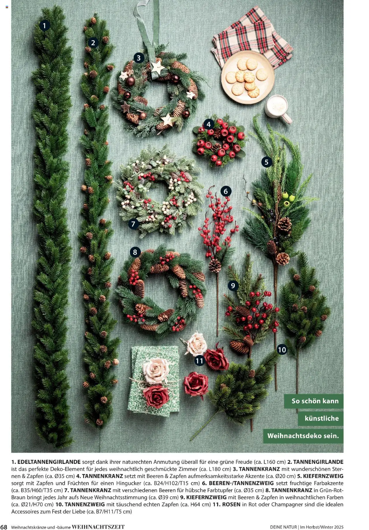 Dehner Prospekt Deine Natur – gültig ab 09.10.2025 | Seite: 68