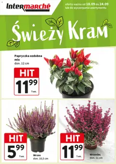 Pogląd oferty "Intermarche Gazetka - Świeży Hit" - ważna od 18.09.2025