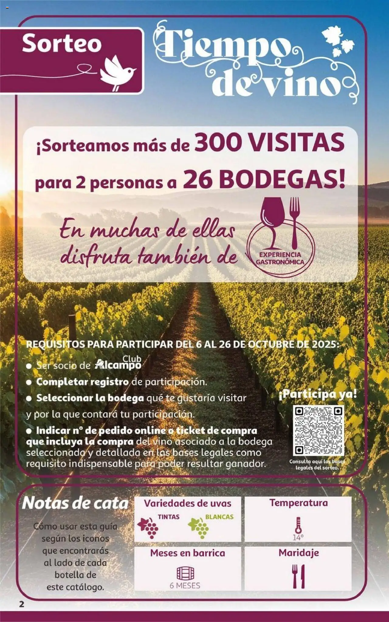 Alcampo - Canarias │ válido desde el 06.10.2025 | Página: 2 | Productos: Τζίντζερ, Vino, Té