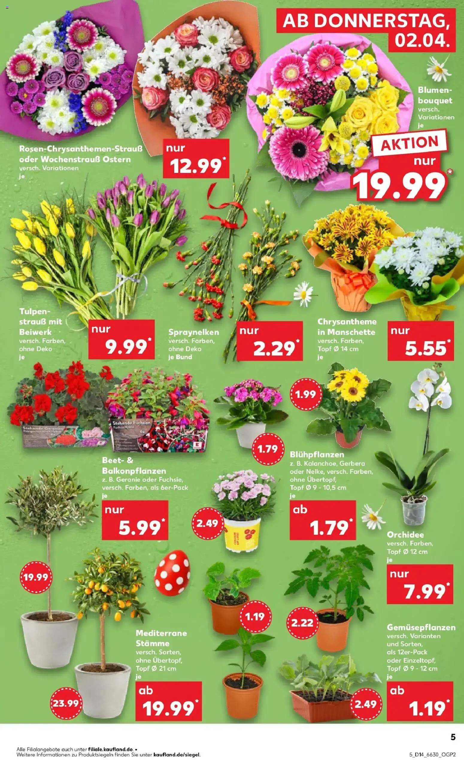 Kaufland Prospekt Lünen	 – gültig ab 30.03.2026 | Seite: 19 | Produkte: Orchidee, Blumen