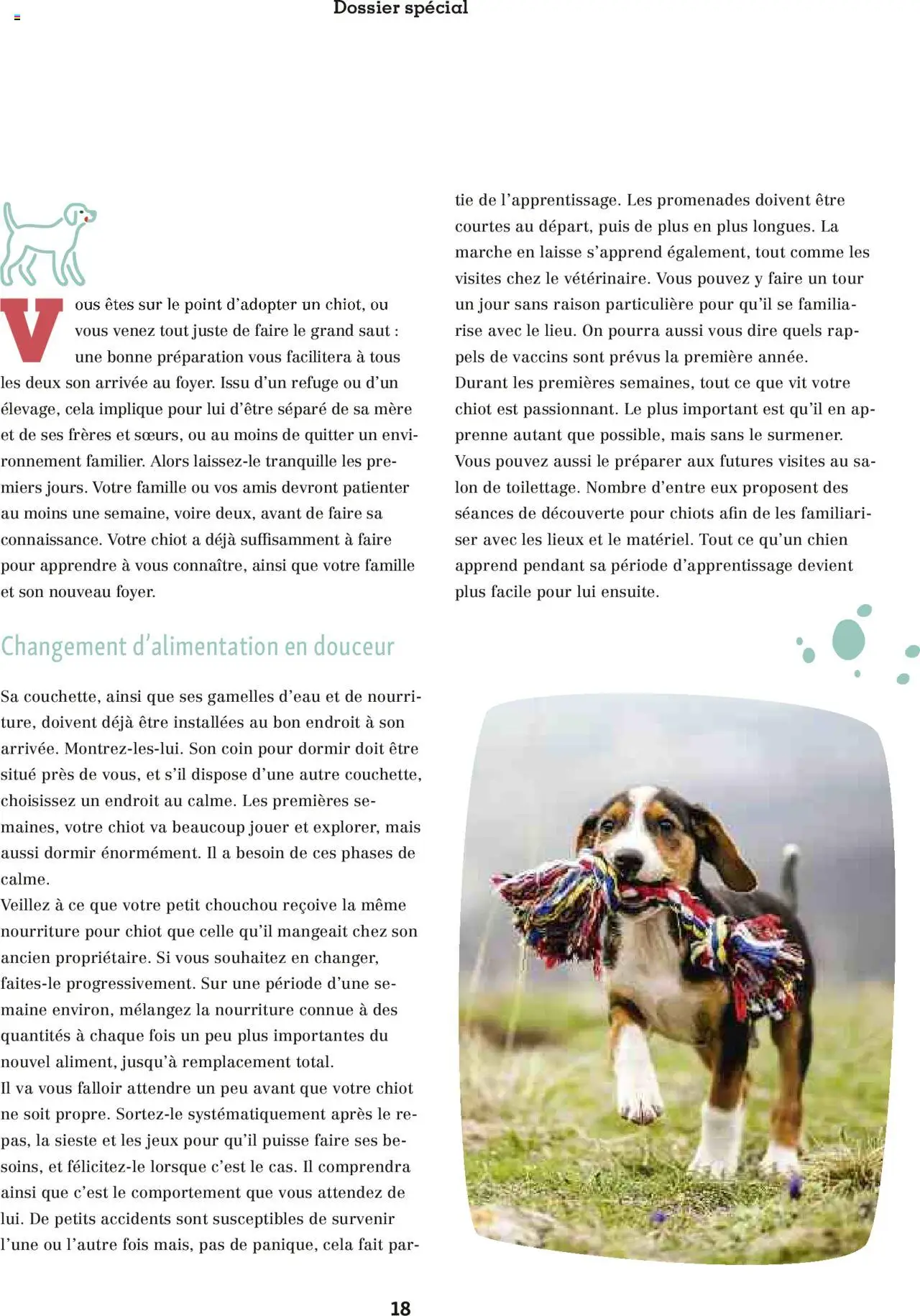  | Page: 18 | Produits: Chouchou, Mais, Jeux