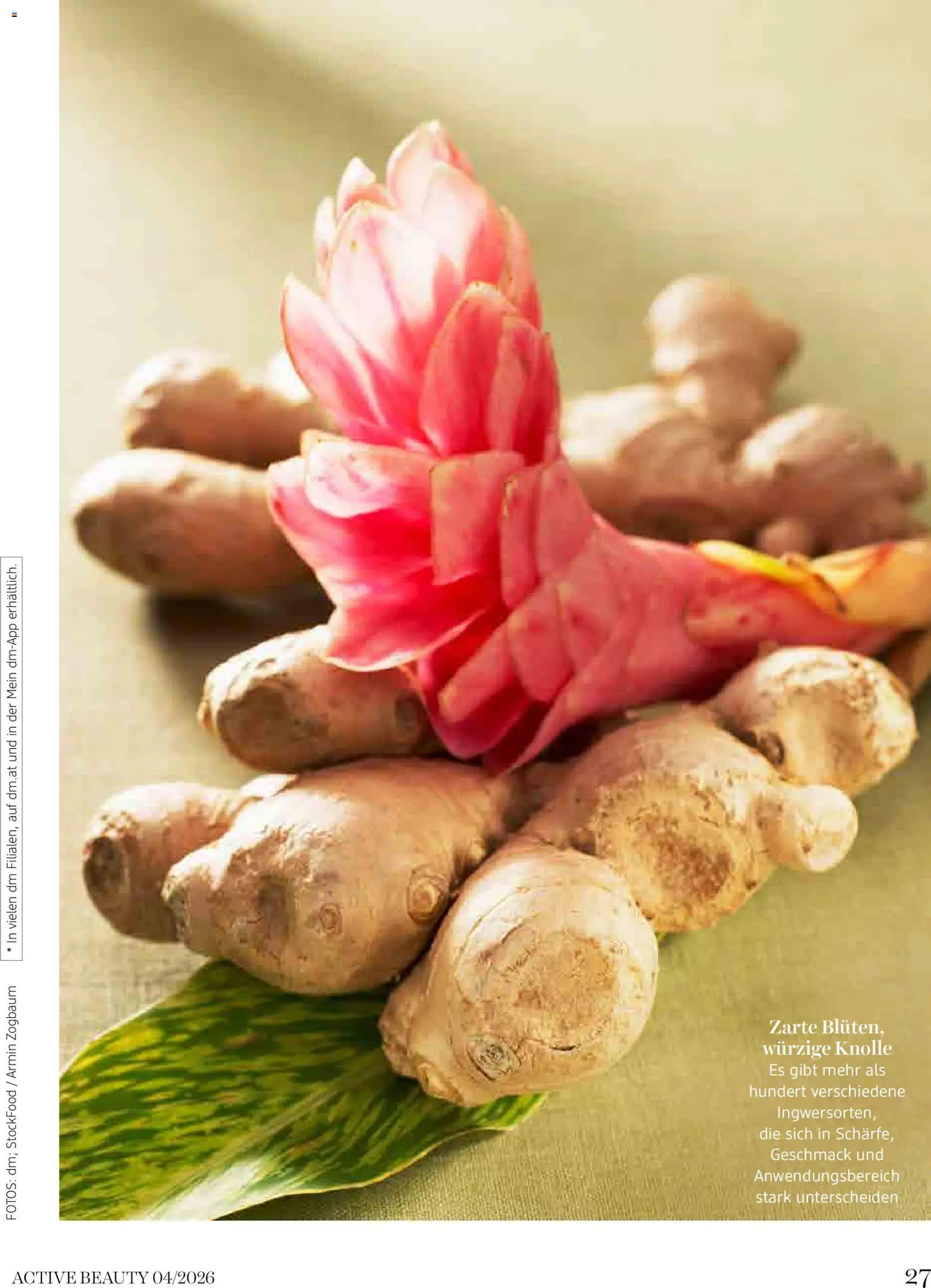 dm drogerie markt Active Beauty Magazin 04/2026 gültig ab 01.04.2026 | Seite: 27