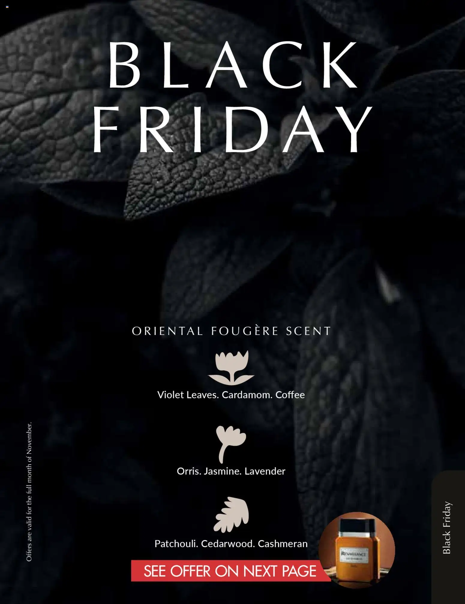 New Justine catalogue – valid from 01.11.2025 | Page: 97