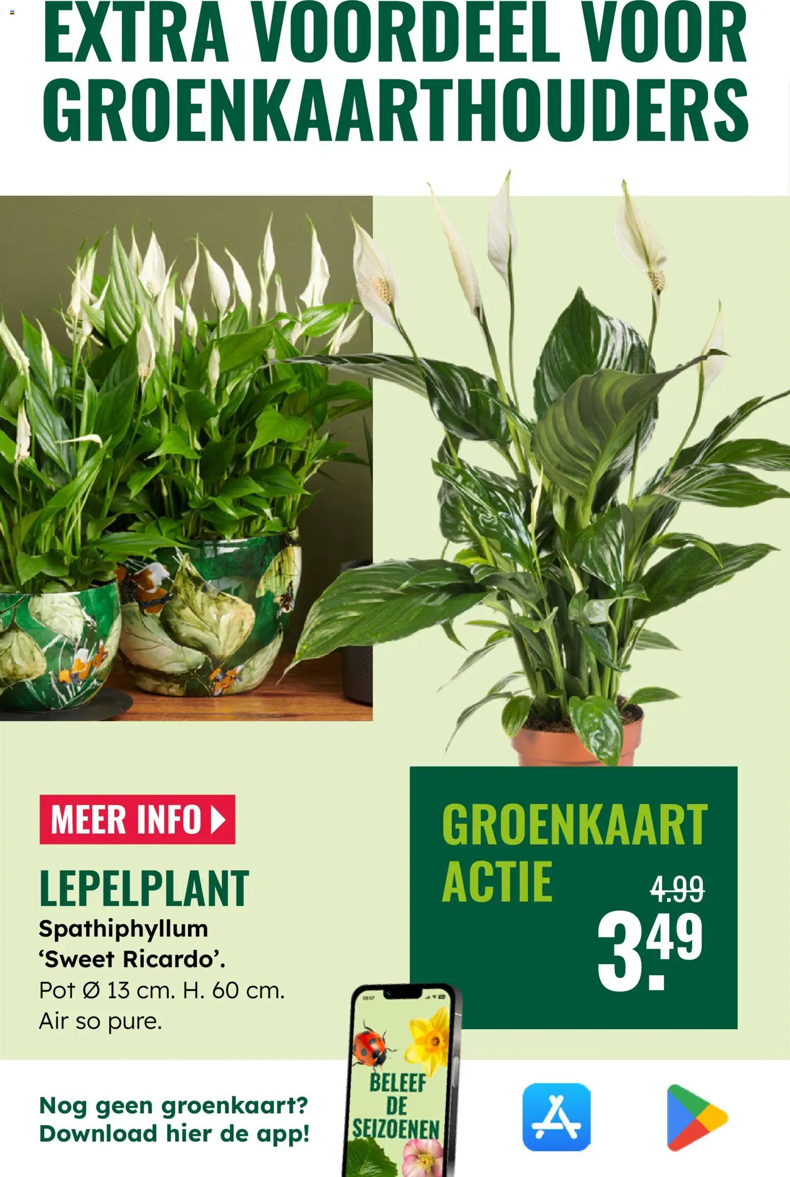 {H1} | Pagina: 20 | Producten: Pot