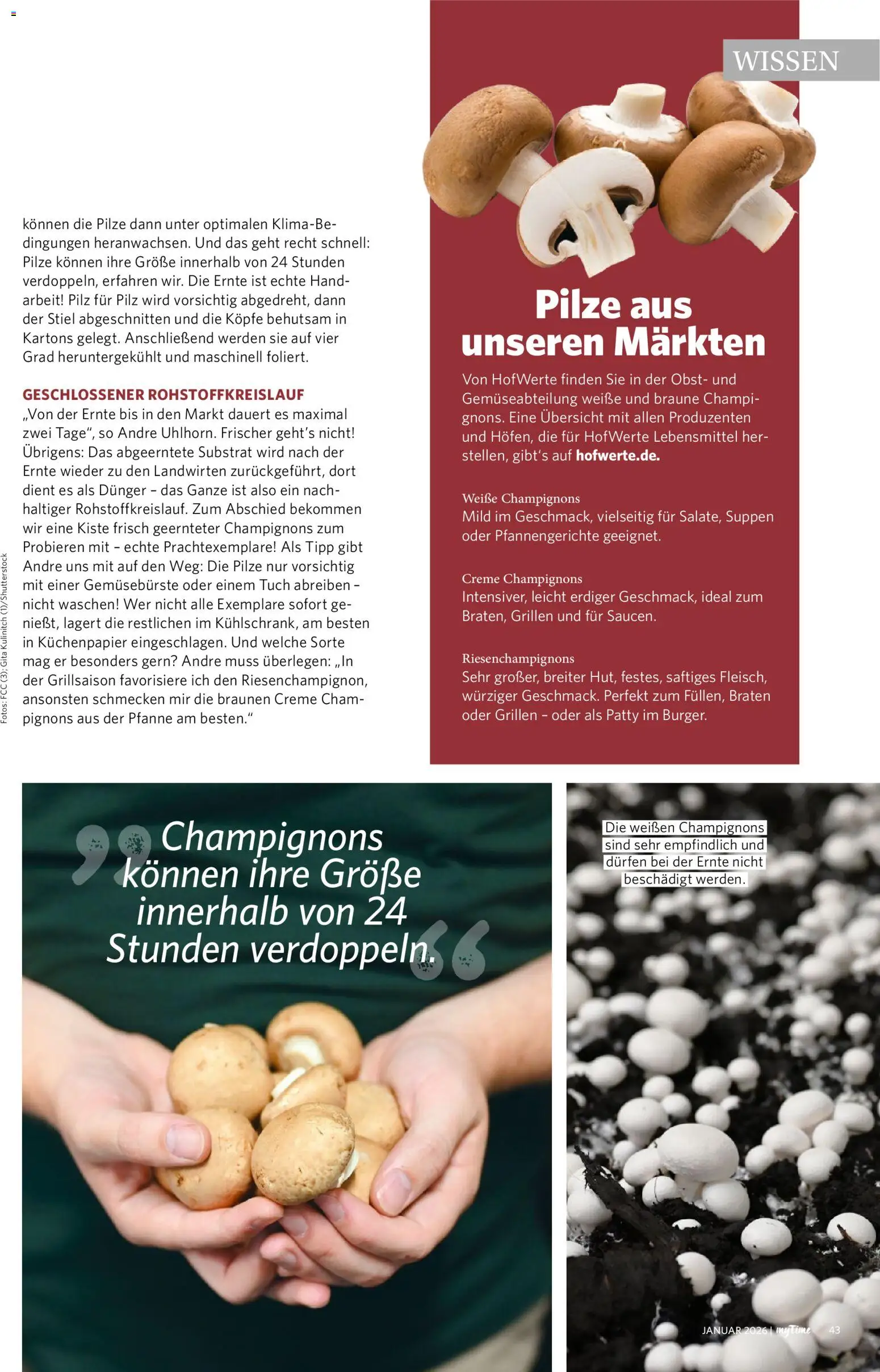 Famila Nordwest  myTime Januar 2026 – gültig ab 01.01.2026 | Seite: 43 | Produkte: Creme, Champignons, Obst