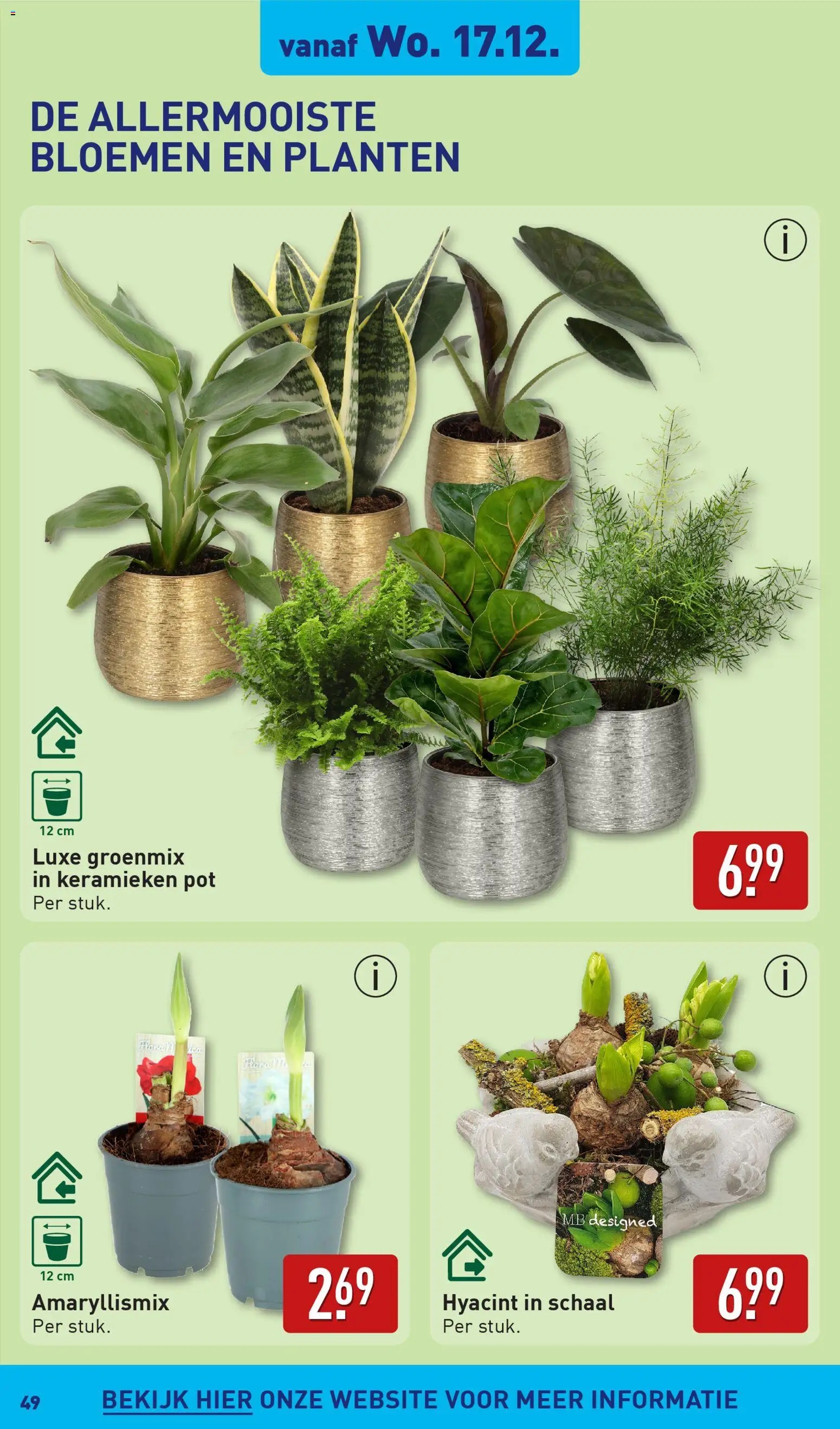 {H1} | Pagina: 49 | Producten: Pot, Schaal, Bloemen