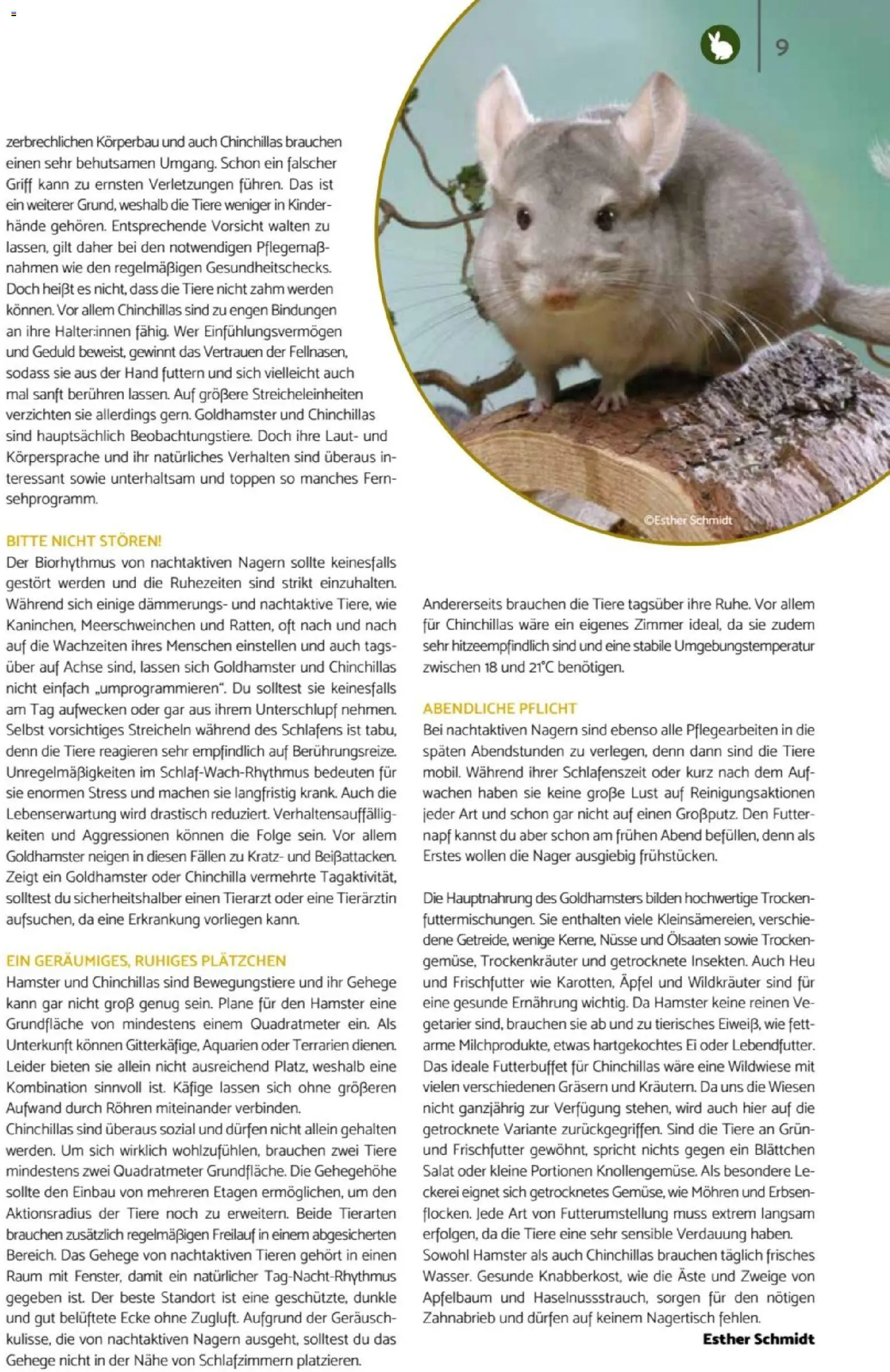 zookauf  Heimtier Journal – gültig ab 01.02.2026 | Seite: 9 | Produkte: Äpfel, Mohren, Salat, Erbsen