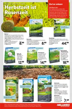 Hellweg Prospekt – gültig ab 22.09.2025 | Seite: 23 | Produkte: Top, Spiel, Rindenmulch, Wasser