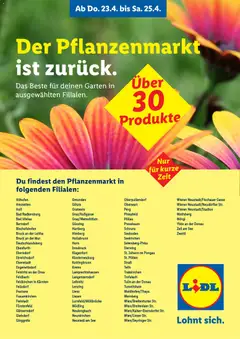Lidl Das Beste für deinen Garten ab 23.04.2026 gültig