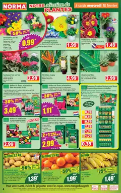 Norma - Prévisualisation de Norma catalogue valide à partir de 18.02.2026 | Page: 4 | Produits: Plantes, Terreau, Champagne, Pommes de terre