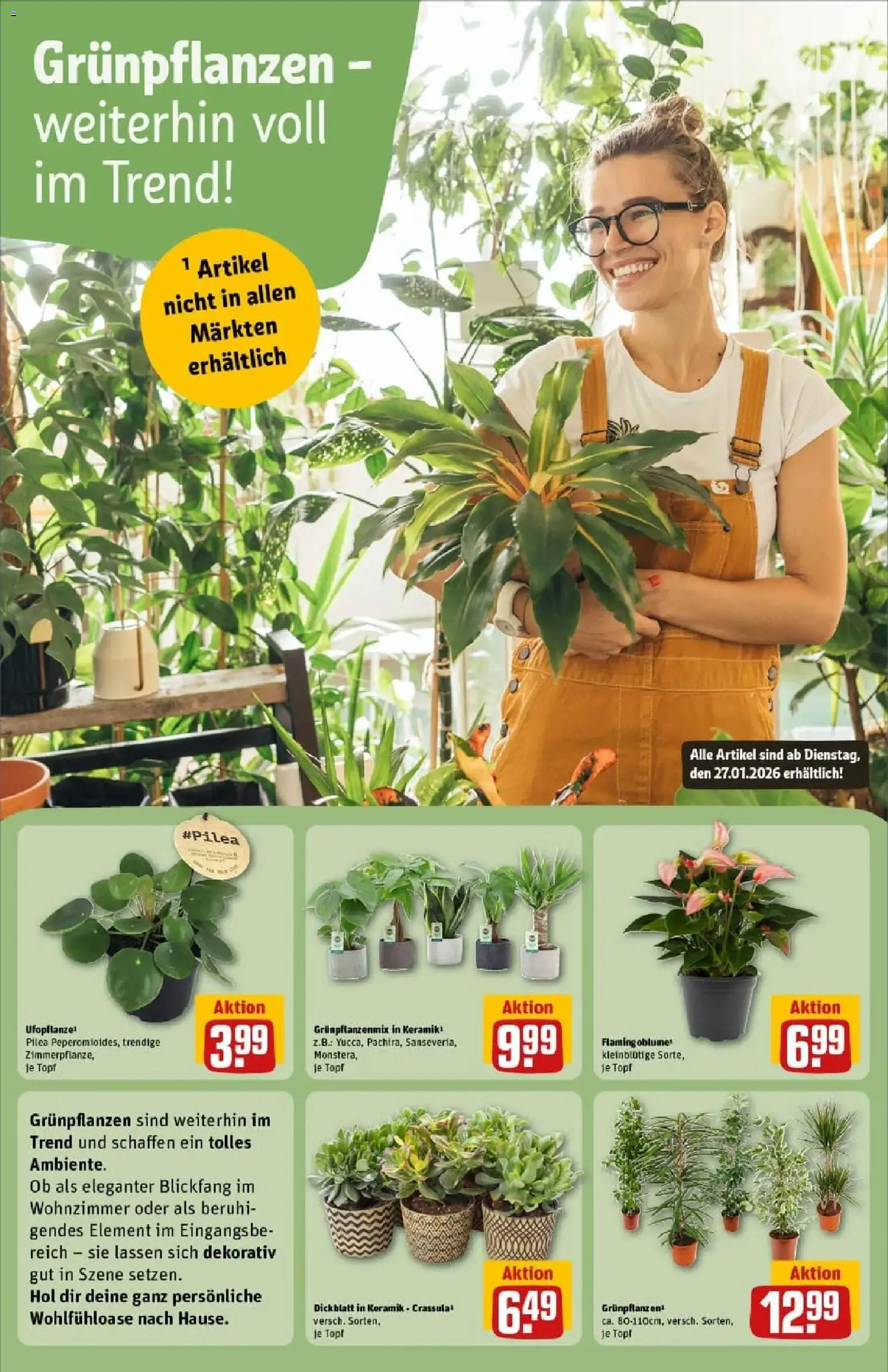 Rewe prospekt Kiel	 – gültig ab 26.01.2026 | Seite: 9