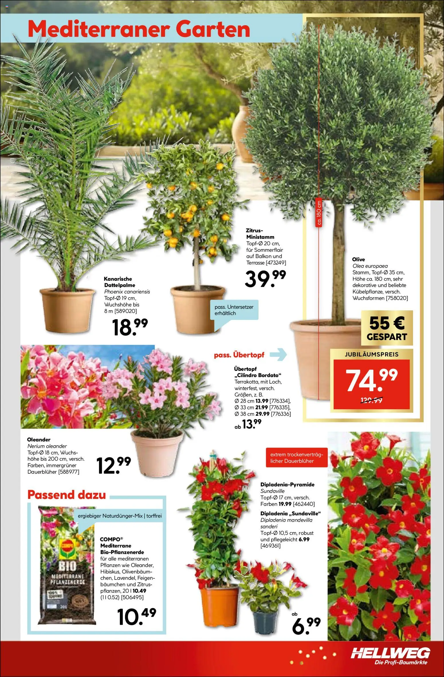 Hellweg Prospekt 	 – gültig ab 27.04.2026 | Seite: 21