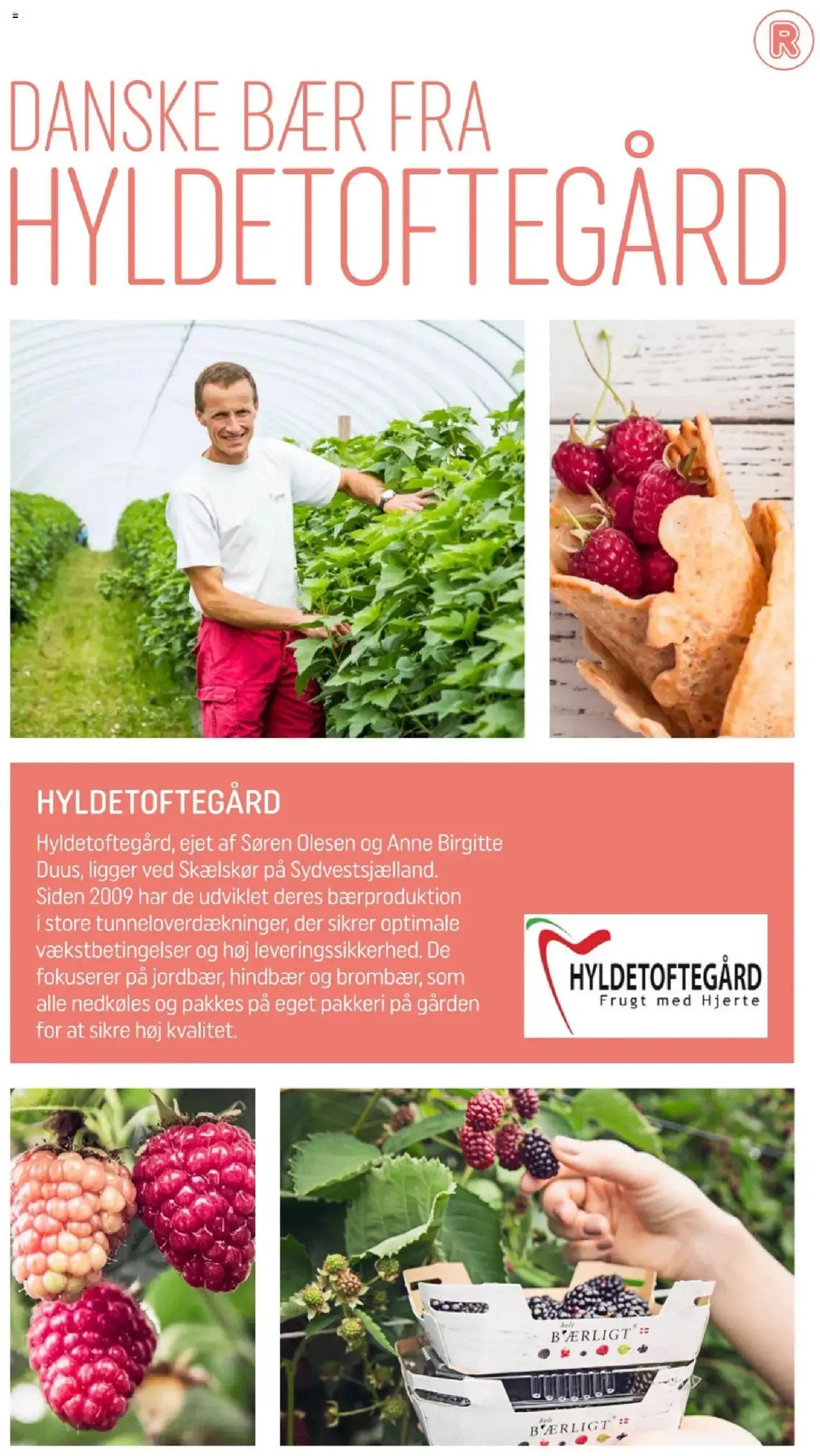 Rema 1000 Tilbudsavis gyldig fra 01.08.2025 | Side: 14 | Produkter: Hindbær, Søm