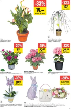 Jumbo aktionen FR ab 26.03.2026 gültig | Seite: 3 | Produkte: Rouge