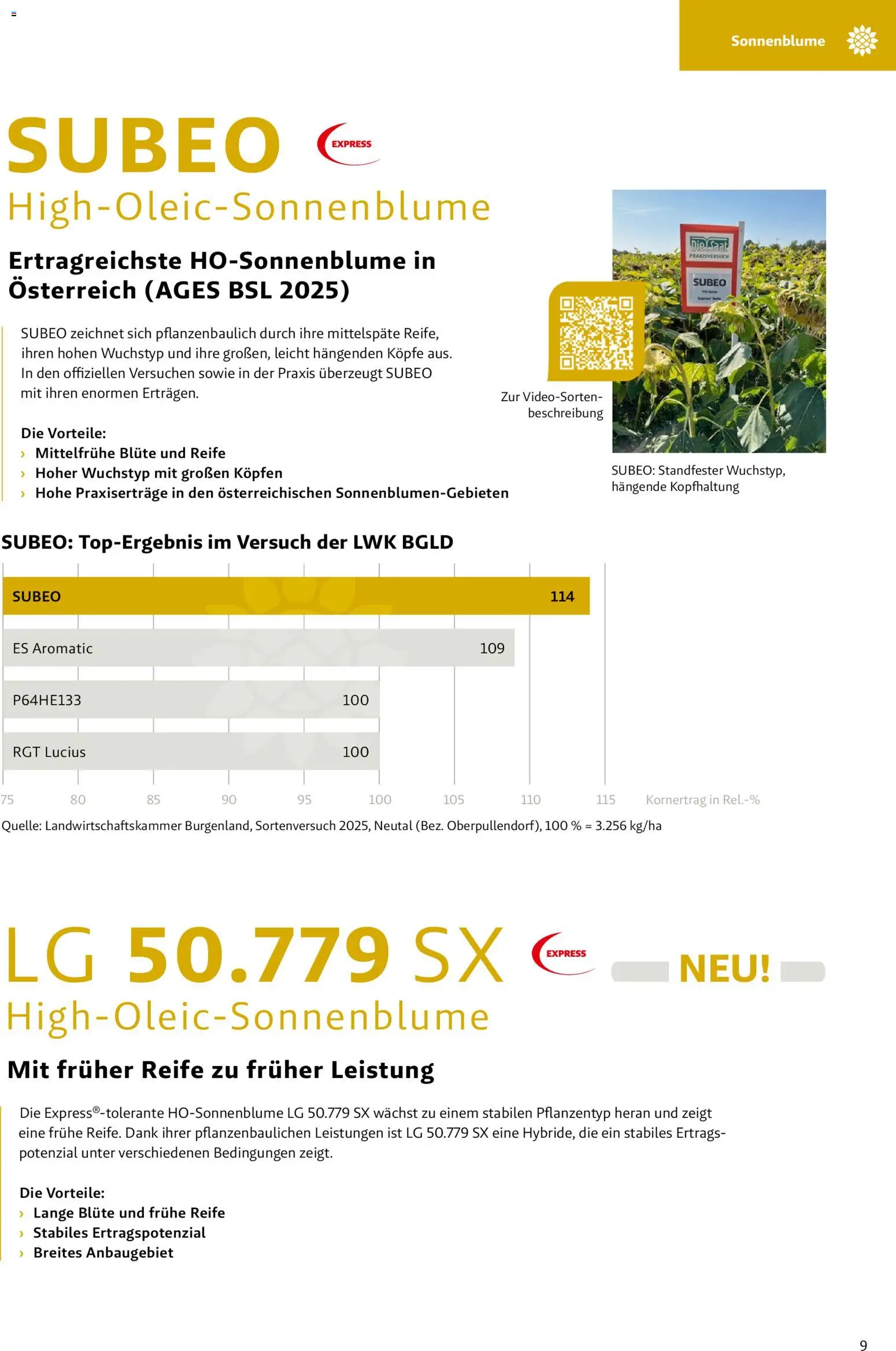 Lagerhaus - Frühjahr 2026 Östliches  Niederösterreich gültig ab 01.03.2026 | Seite: 9