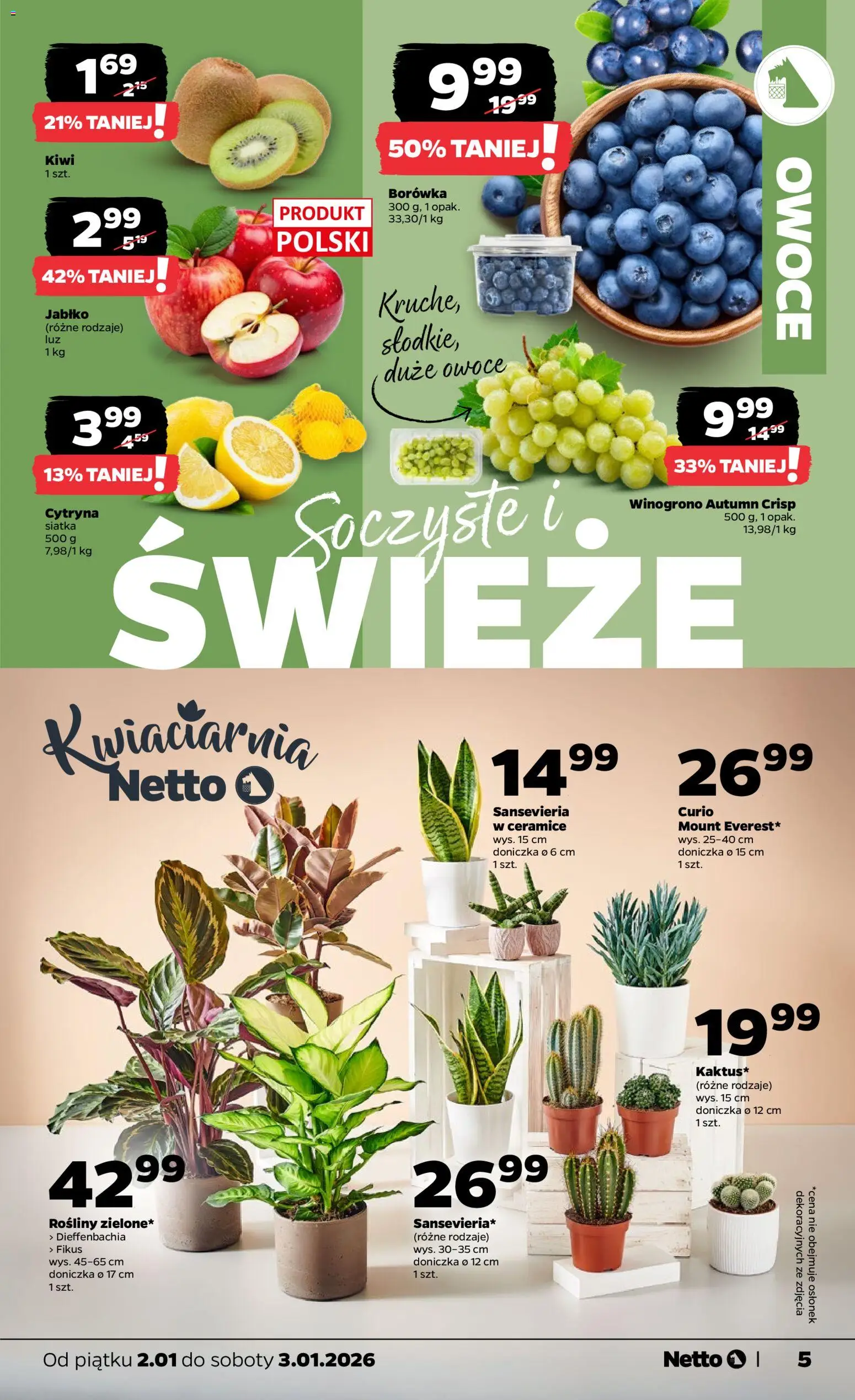 Netto gazetka - Spożywcza od 02.01.2026 | Strona: 5 | Produkty: Winogrono, Siatka, Kiwi, Owoce
