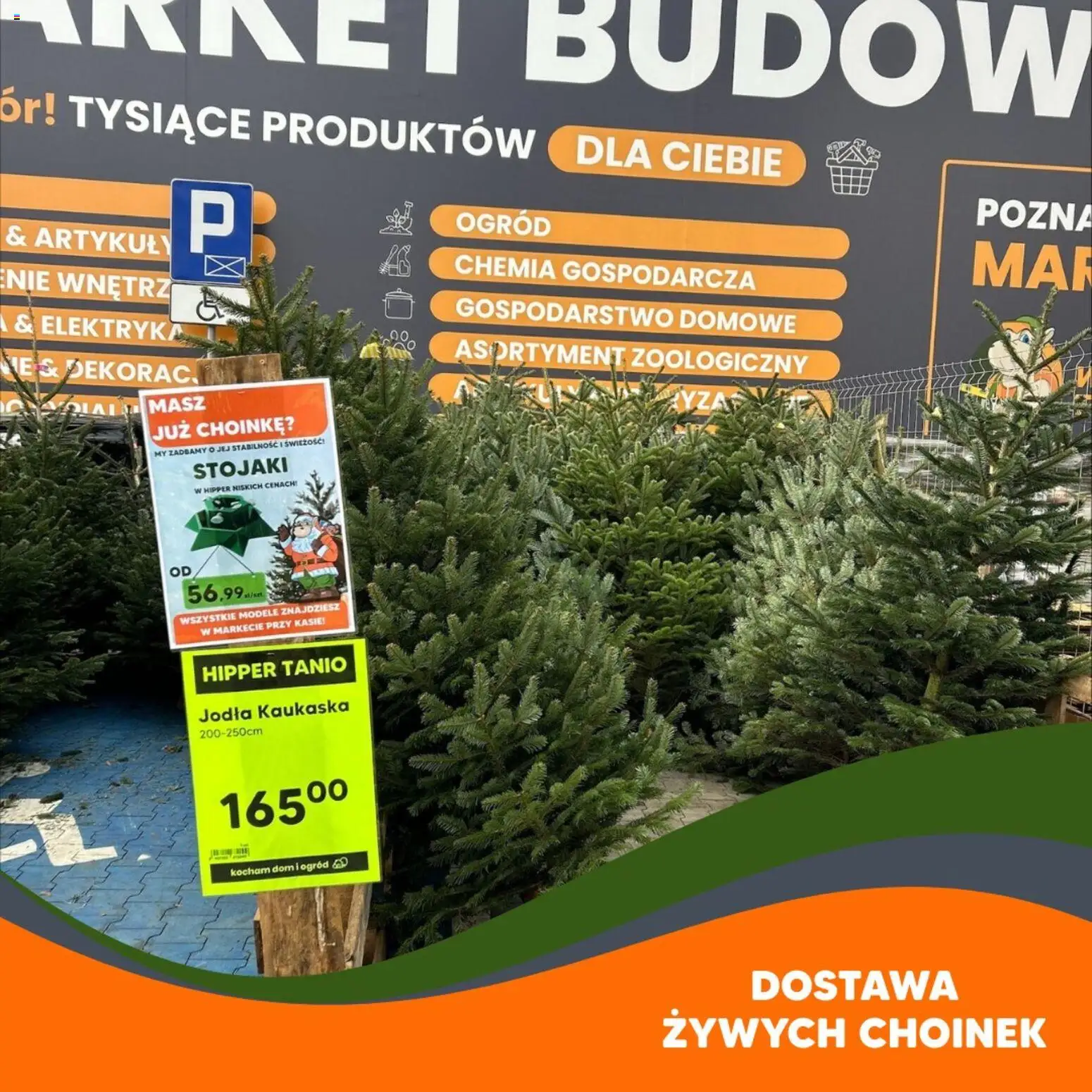 Hipper Gazetka od 21.11.2025 | Strona: 4 | Produkty: Jodła kaukaska