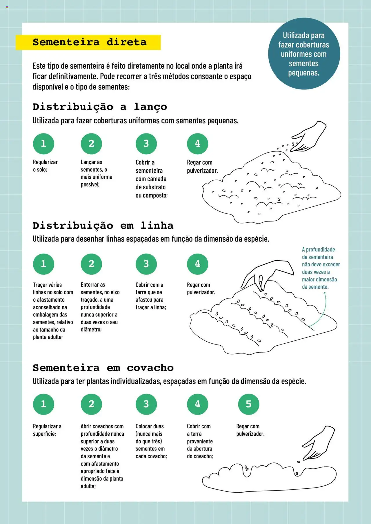 BricoMarché Sementeiras │ válido de 17.01.2024 | Página: 5