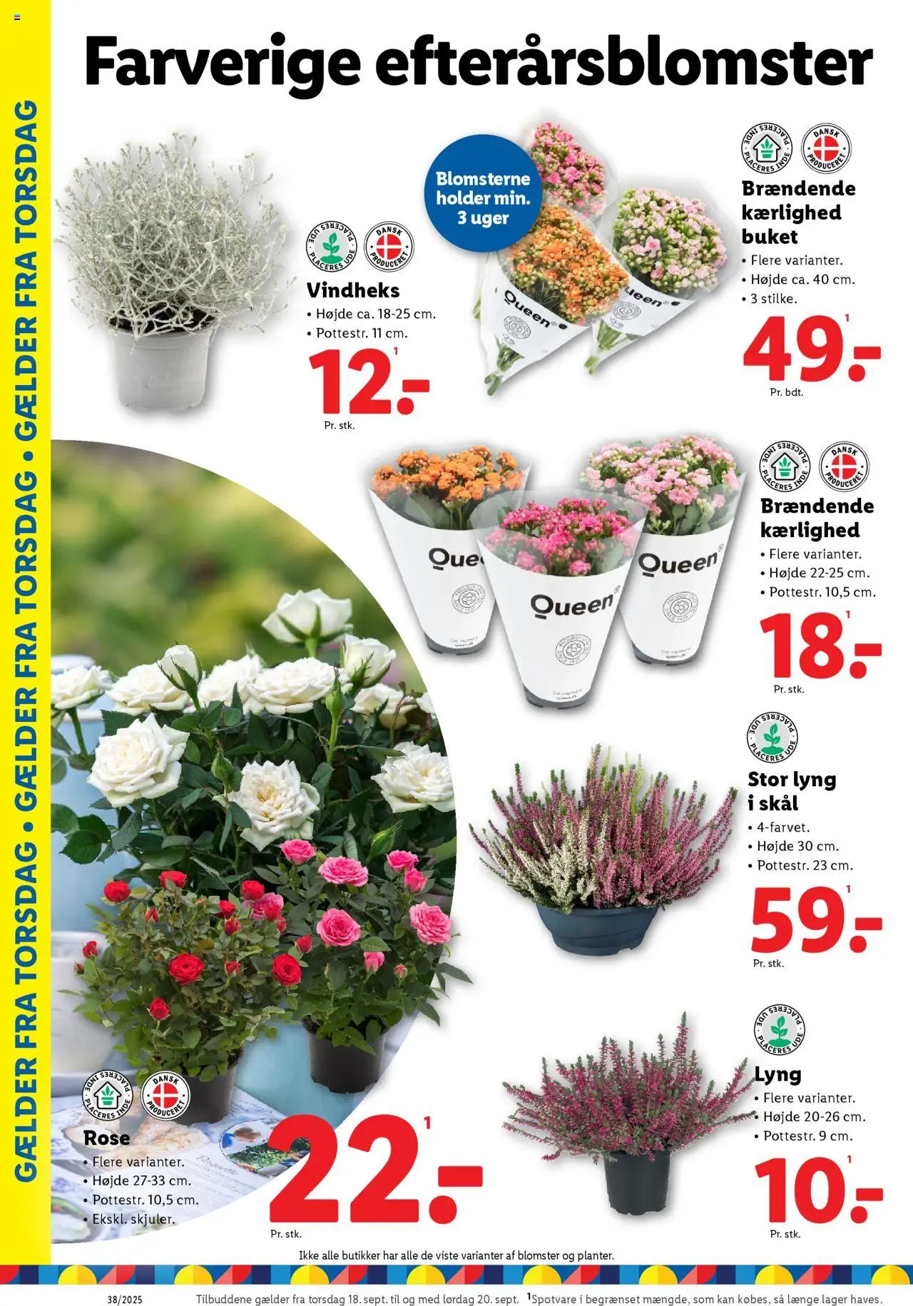 Lidl tilbudsavis – gyldig fra 18.09.2025 | Side: 6 | Produkter: Søm