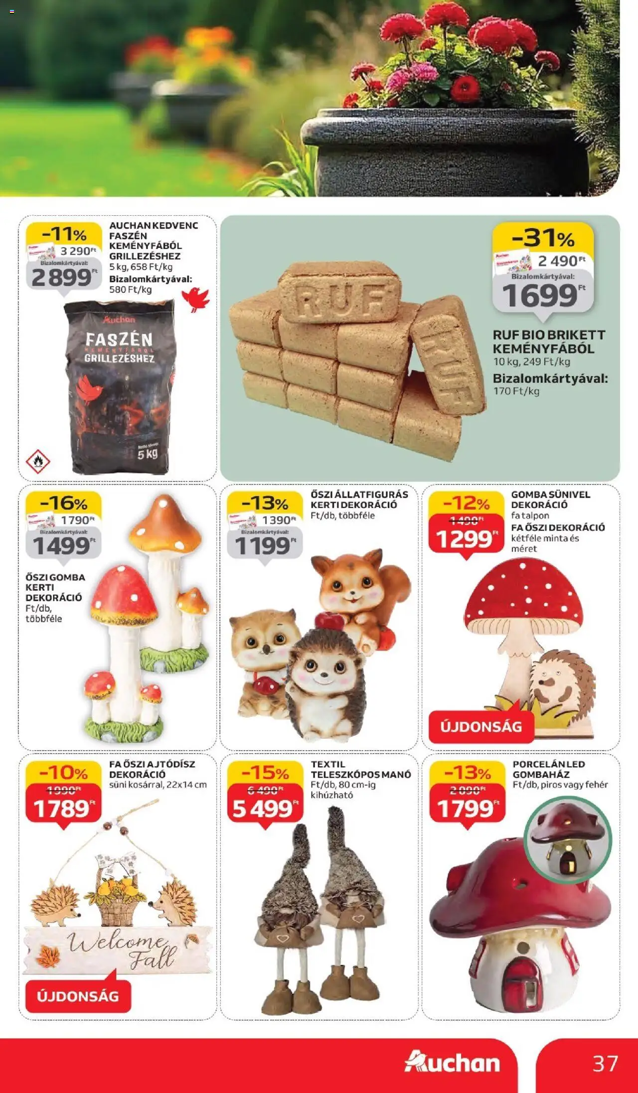 Auchan akciós ujság - amely érvényes a következő dátumtól: 11.09.2025 | Oldal: 37 | Termékek: Gomba, Dekoráció