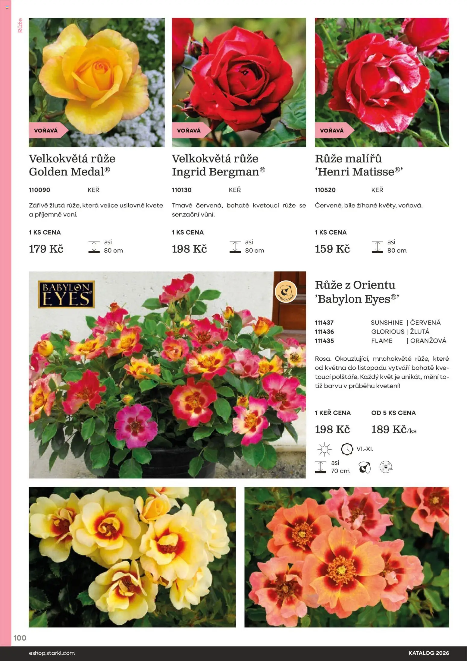 Starkl katalog od 25.02.2026 | Strana: 100