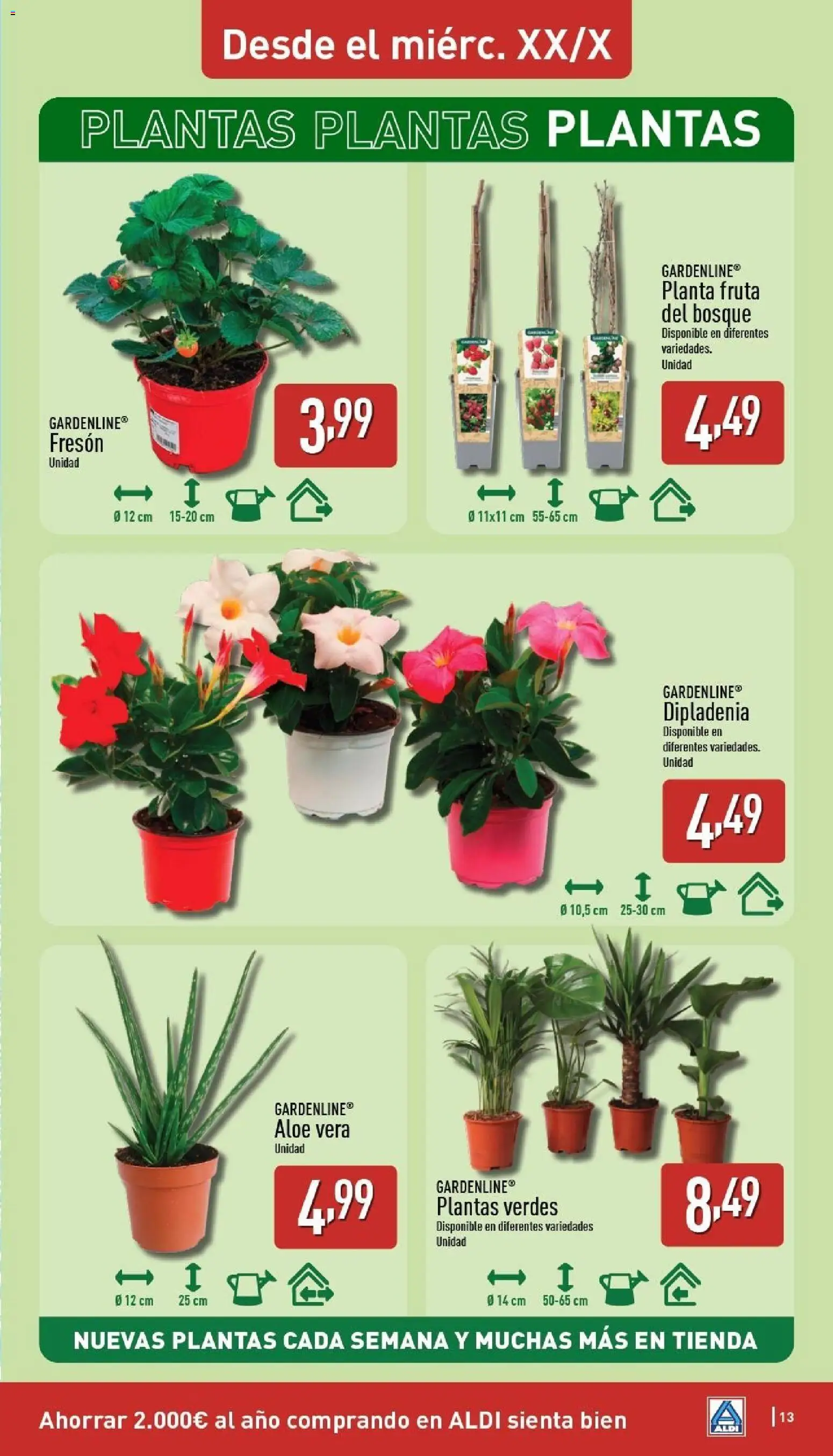 Aldi folleto Baleares │ válido desde el 13.04.2026 | Página: 13