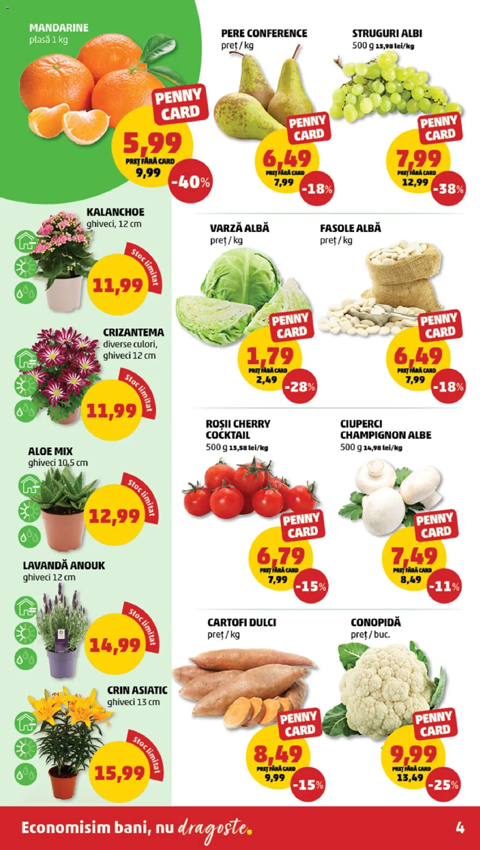 Noul catalog PENNY – valabil de la 11.03.2026 | Pagină: 4 | Produse: Struguri, Taneli organik hardal, Ciuperci, Mandarine
