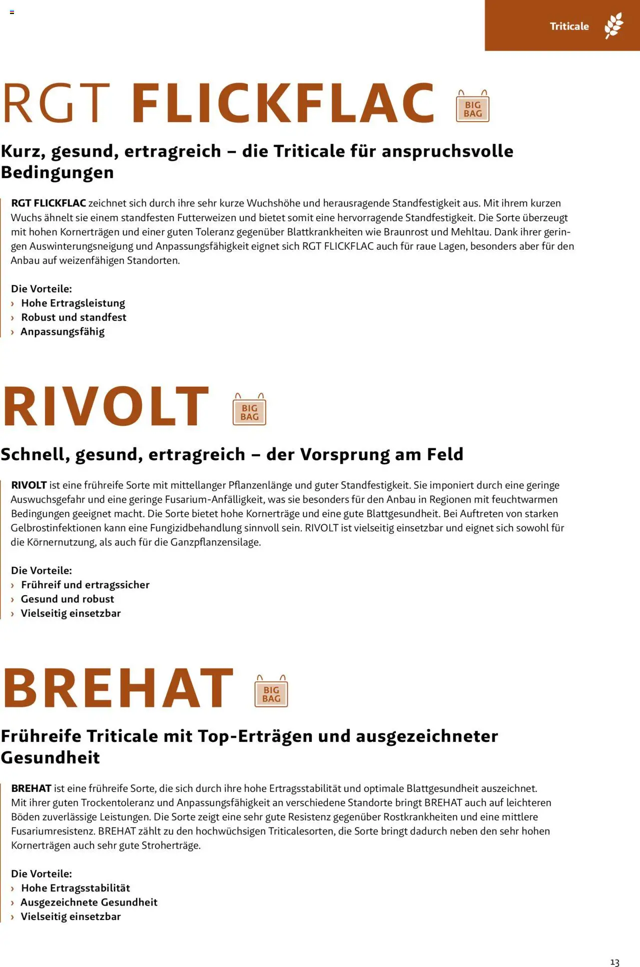 Lagerhaus Saatzeitung Herbst Feuchtgebiet gültig ab 01.09.2025 | Seite: 13