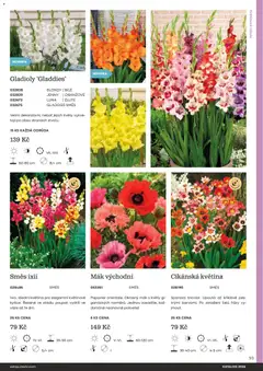 Náhled letáku Starkl katalog od 25.02.2026 | Strana: 93 | Produkty: Cibule, Pes