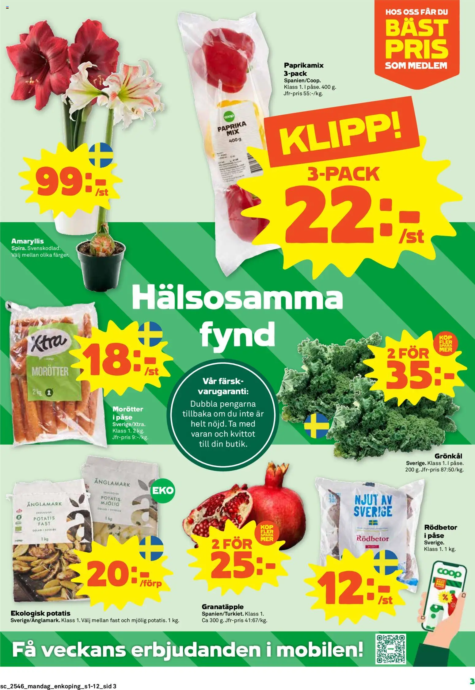 Stora Coop reklamblad aktuell från 10.11.2025 | Sida: 3 | Produkter: Potatis