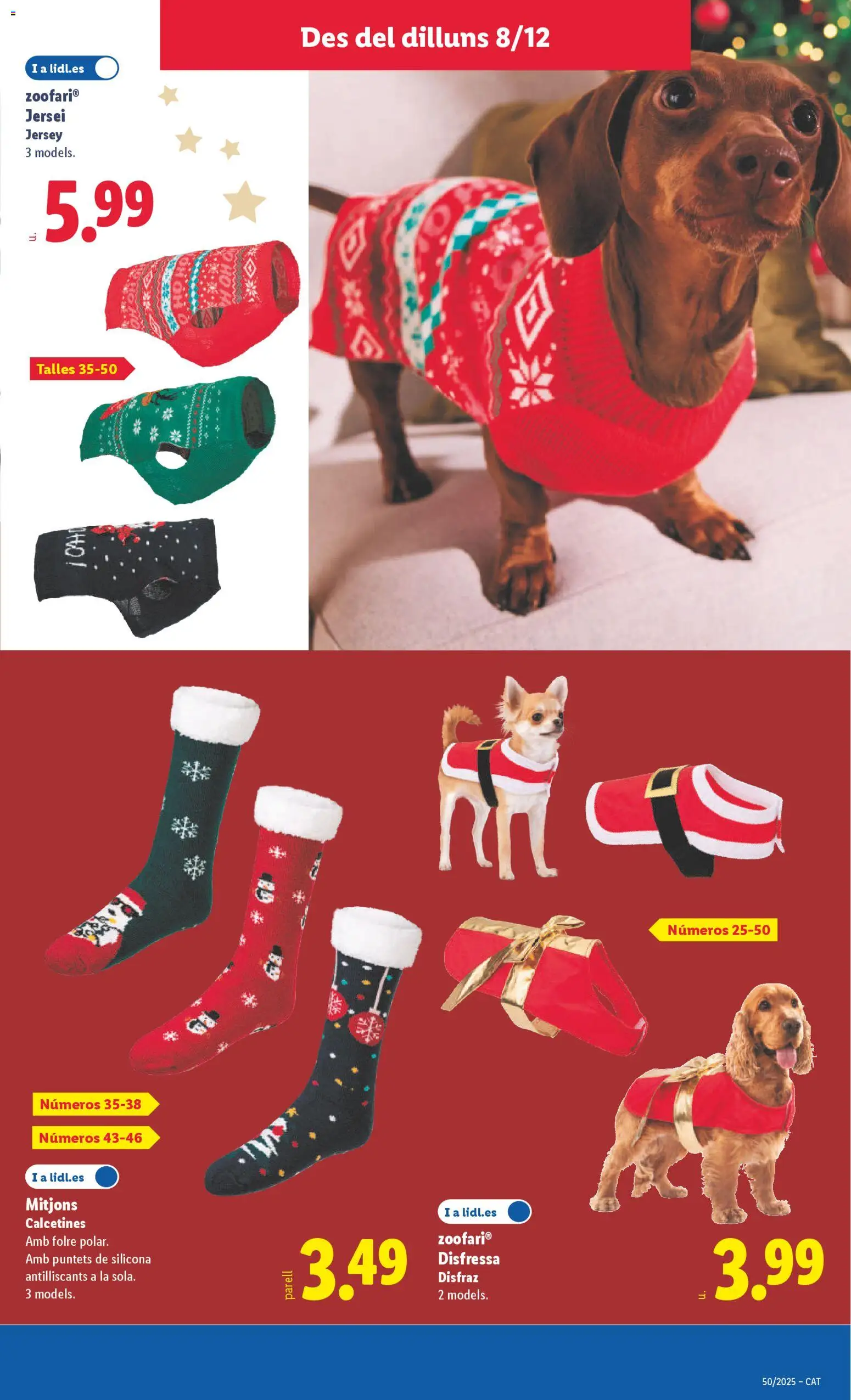 Lidl folleto de bazar │ válido desde el 08.12.2025 | Página: 21