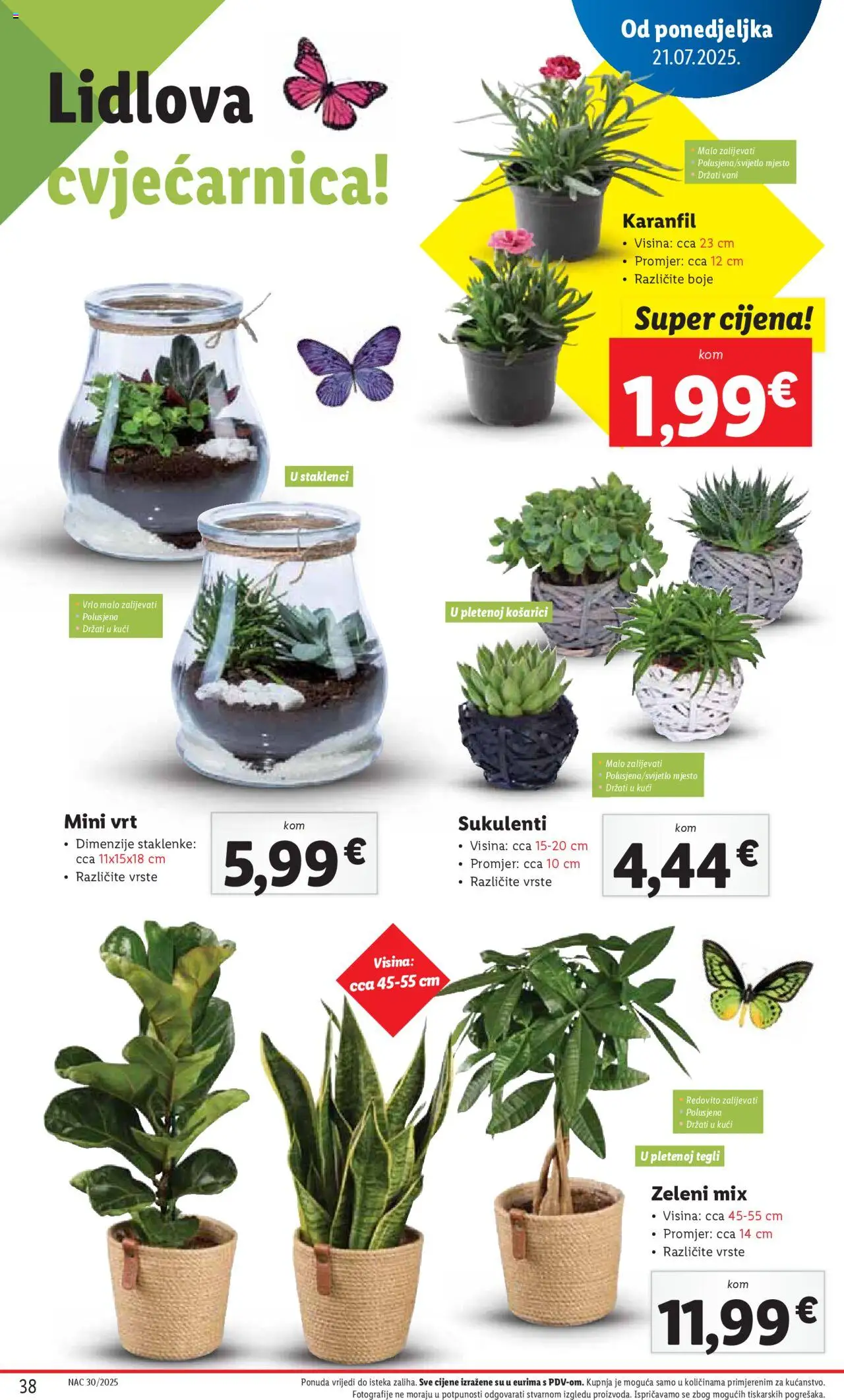 Lidl katalog | vrijedi od 24.07.2025 | Stranica: 38 | Proizvodi: Staklenke