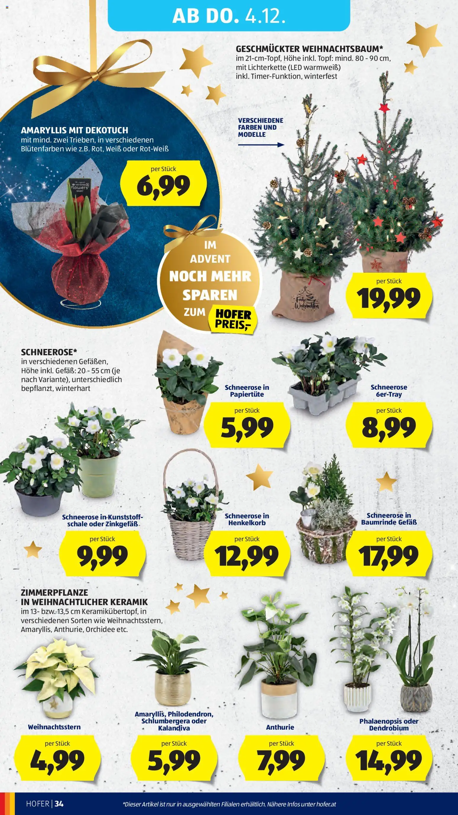 Hofer - Black Friday gültig ab 28.11.2025 | Seite: 50