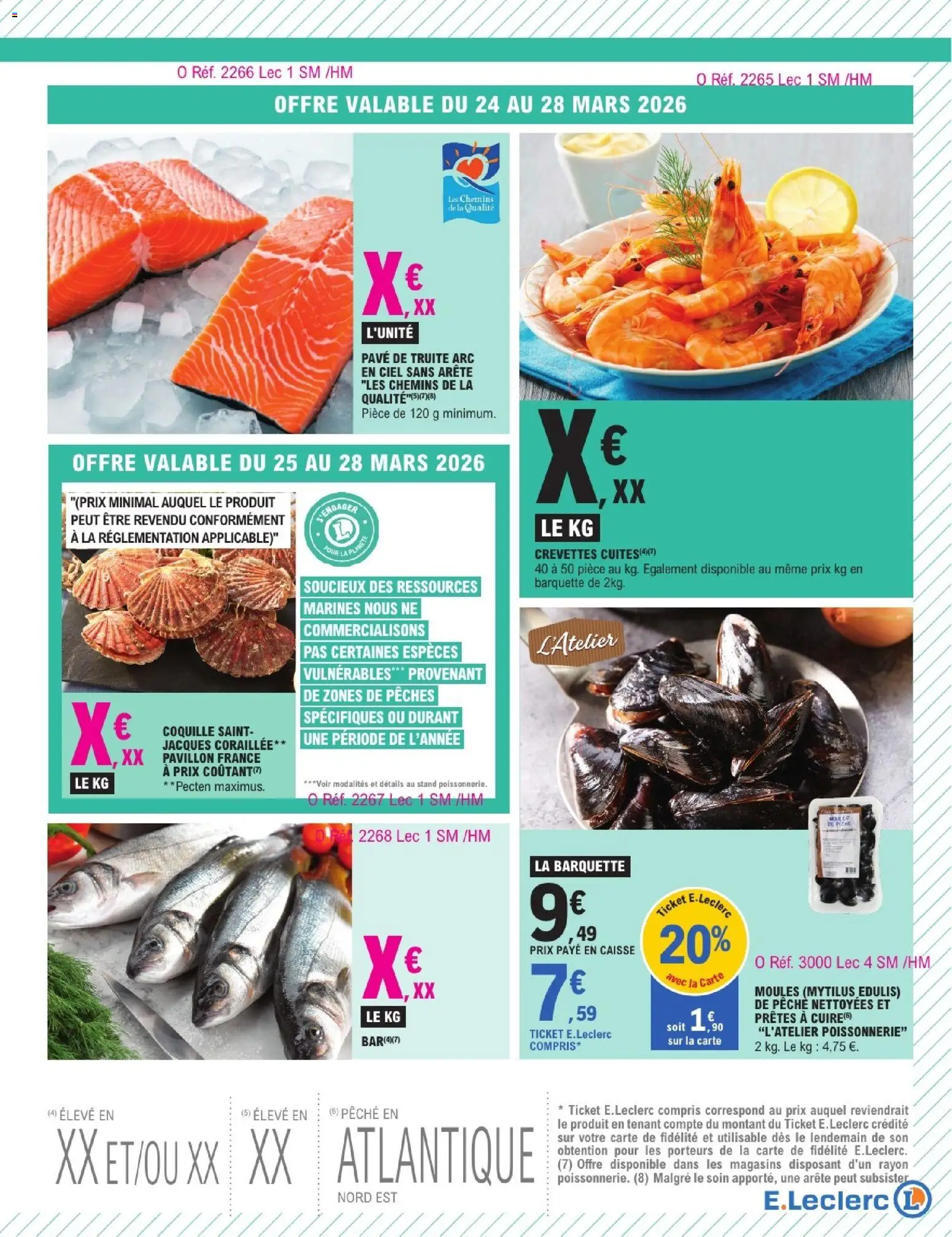 {H1} | Page: 7 | Produits: Pêche, Poissonnerie, Crevettes, Coquille saint-jacques