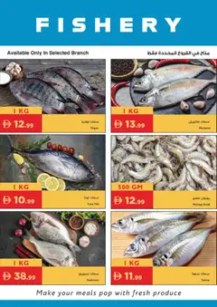 Preview of Istanbul Supermarket catalogue valid from 16.04.2026 | Page: 21 | Products: Хладилник