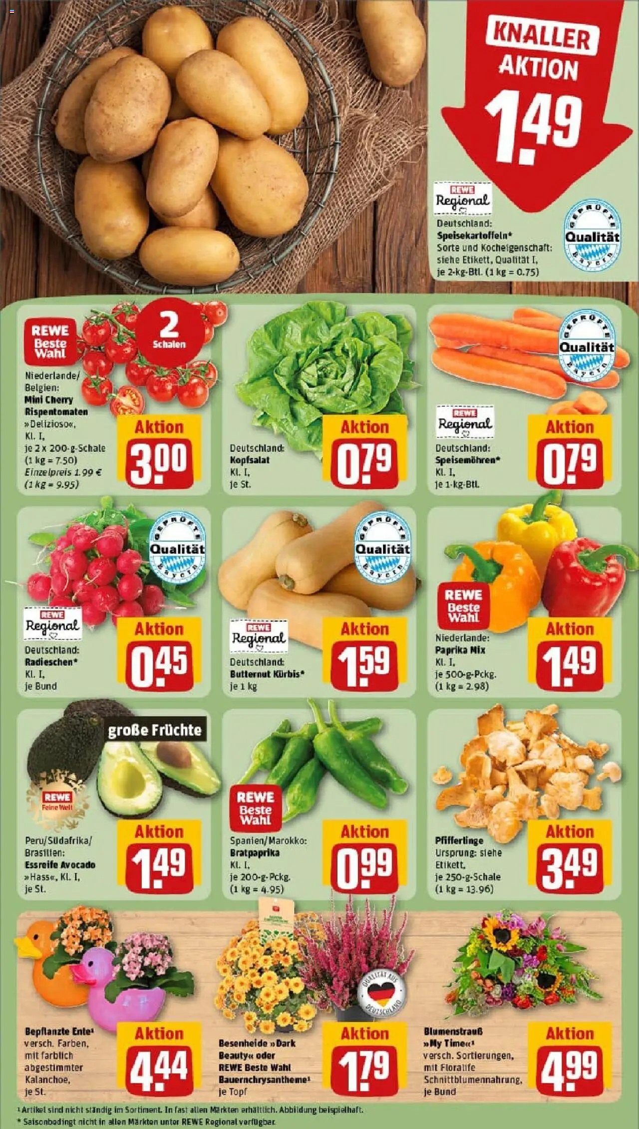 Rewe prospekt Ebersberg	 – gültig ab 01.09.2025 | Seite: 5 | Produkte: Avocado, Paprika, Pfifferlinge