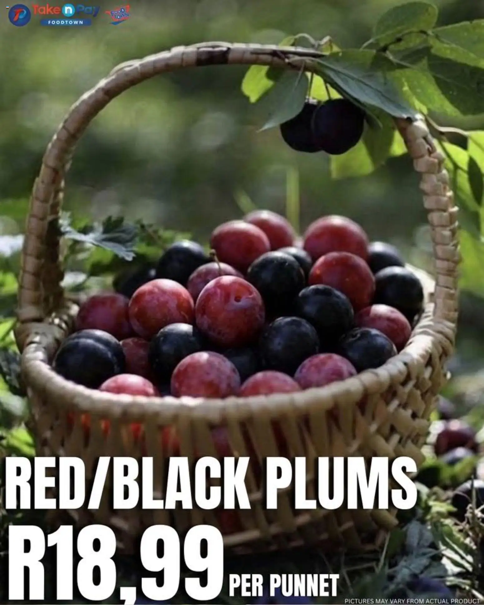 New Take n Pay catalogue – valid from 31.03.2026 | Page: 7