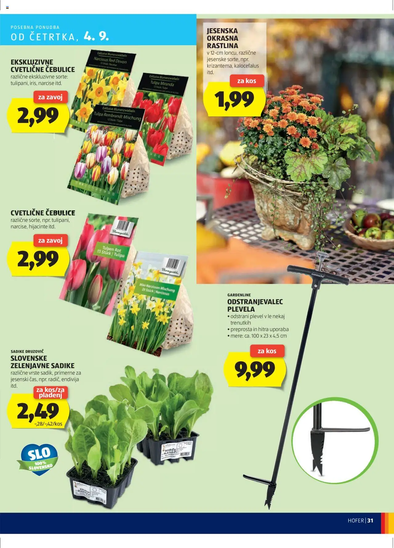 Hofer SI katalog | vrijedi od 28.08.2025 | Stranica: 31