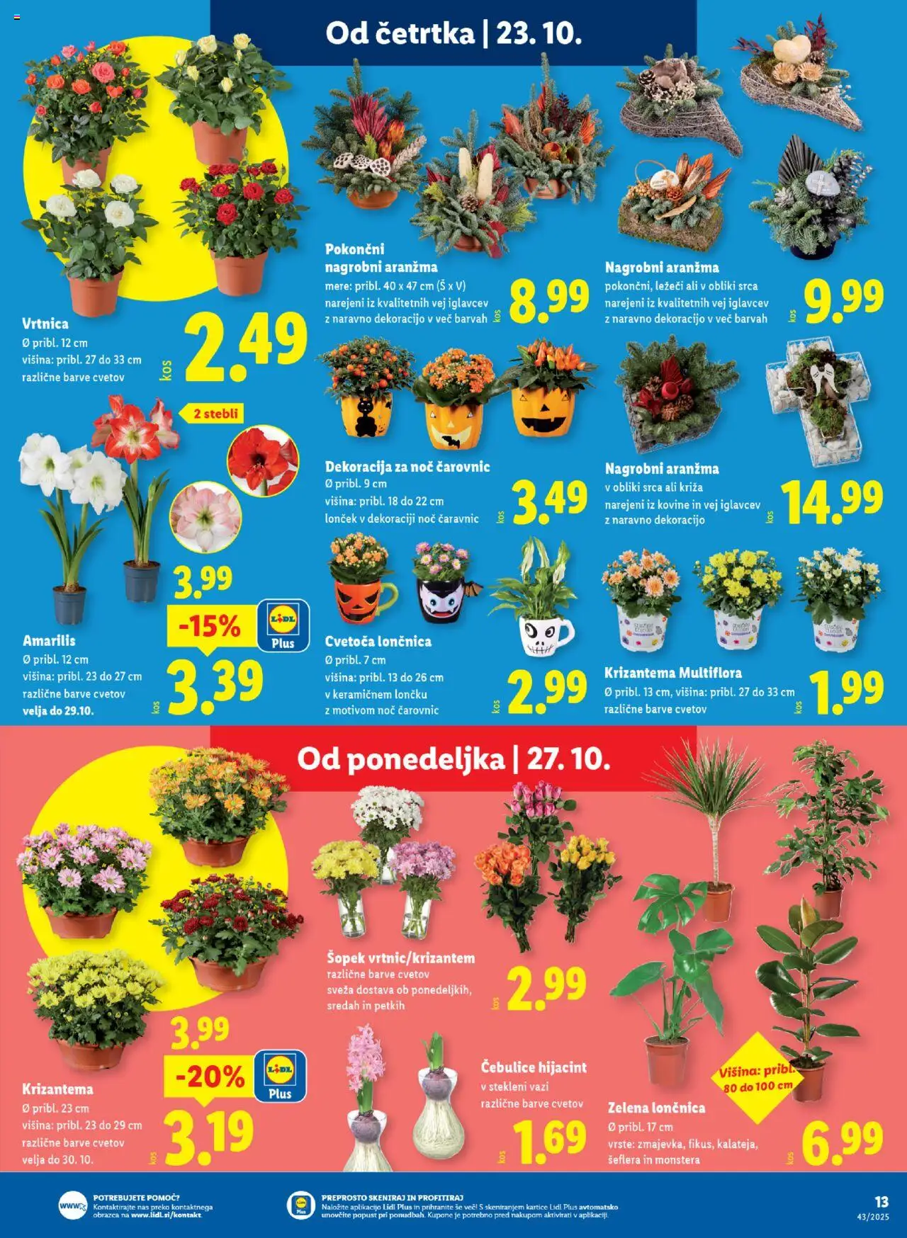 Novi Lidl katalog ponudbe – veljaven od 23.10.2025 | Stran: 27 | Izdelki: Šopek, Zelena