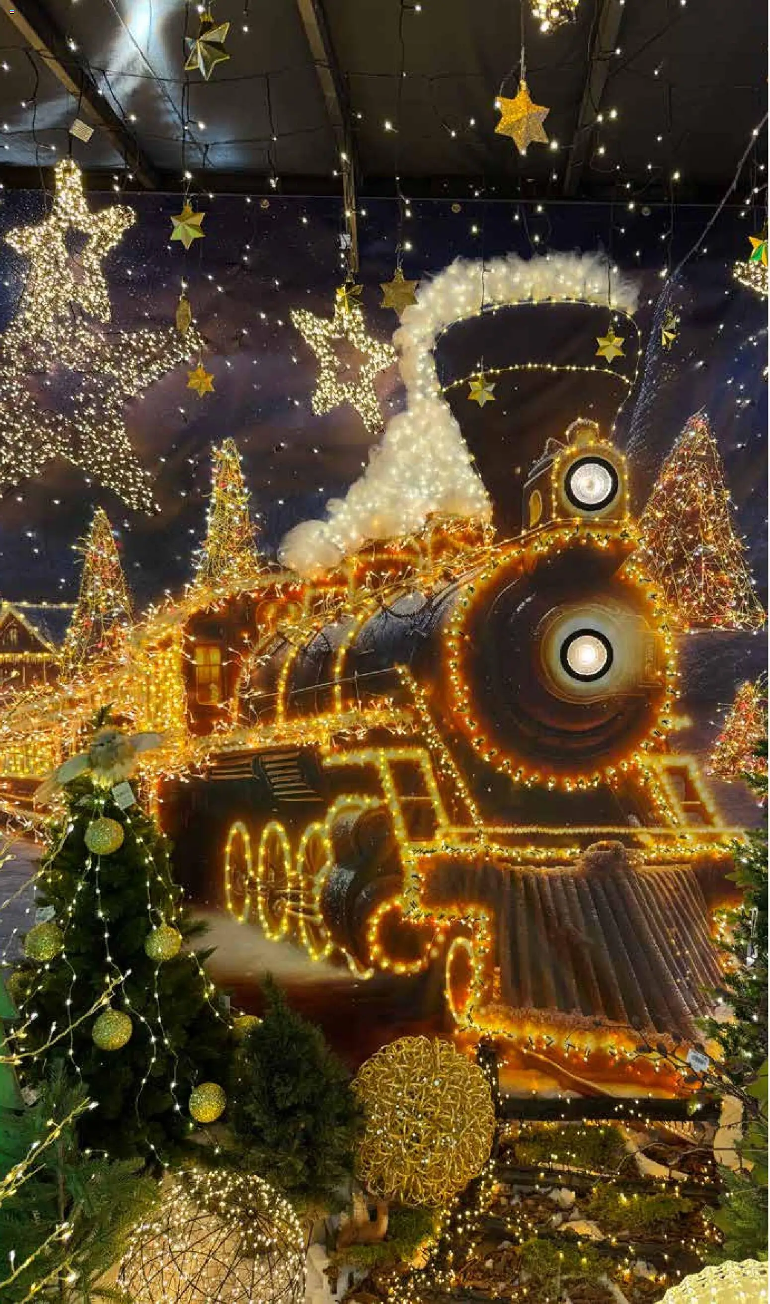 Pflanzen-Kölle Weihnachtsmarkt-Prospekt – gültig ab 10.11.2025 | Seite: 14